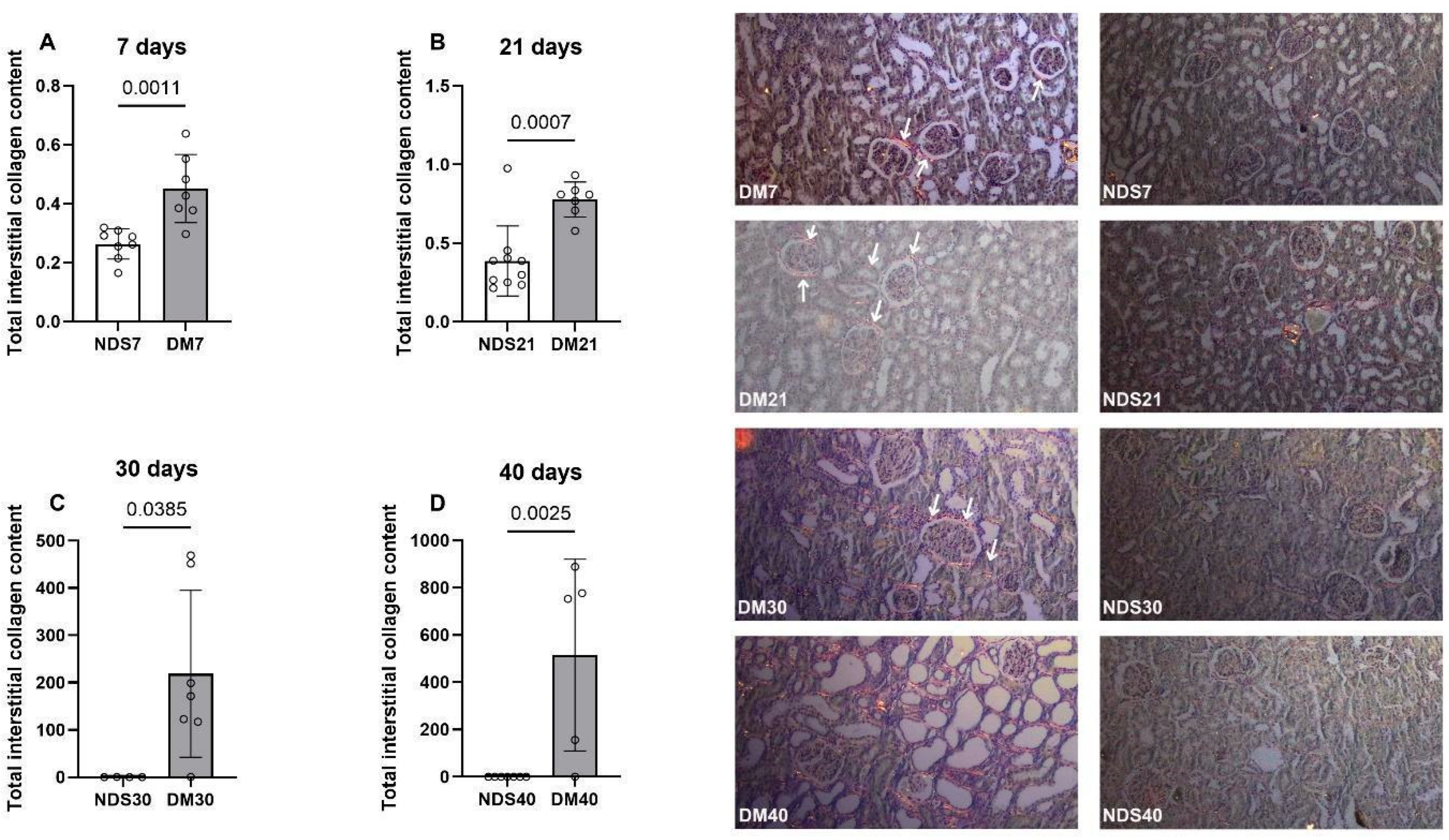 Ijms 26 09676 g003 Ijms 26 09676 g003