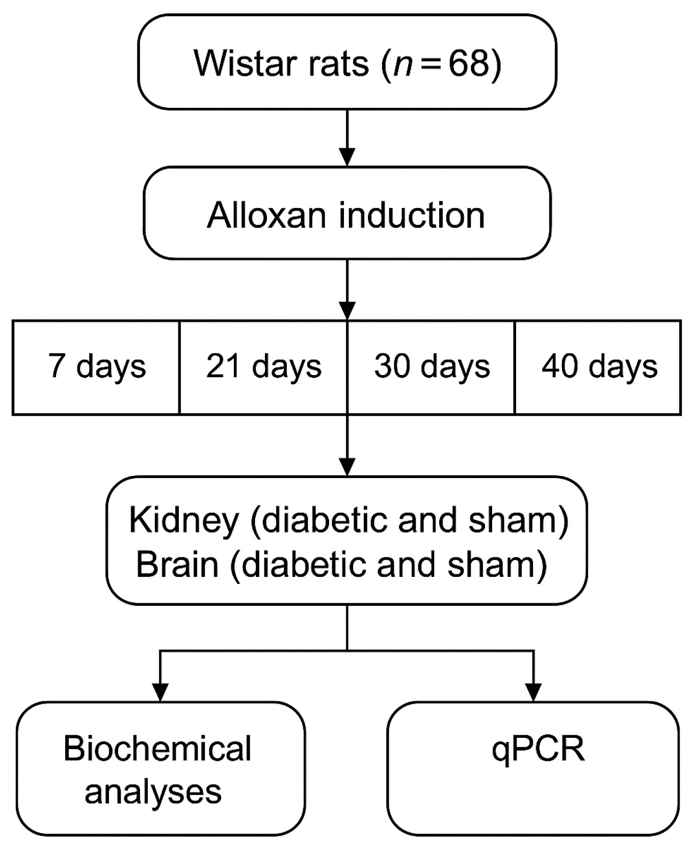 Ijms 26 09676 sch001 Ijms 26 09676 sch001