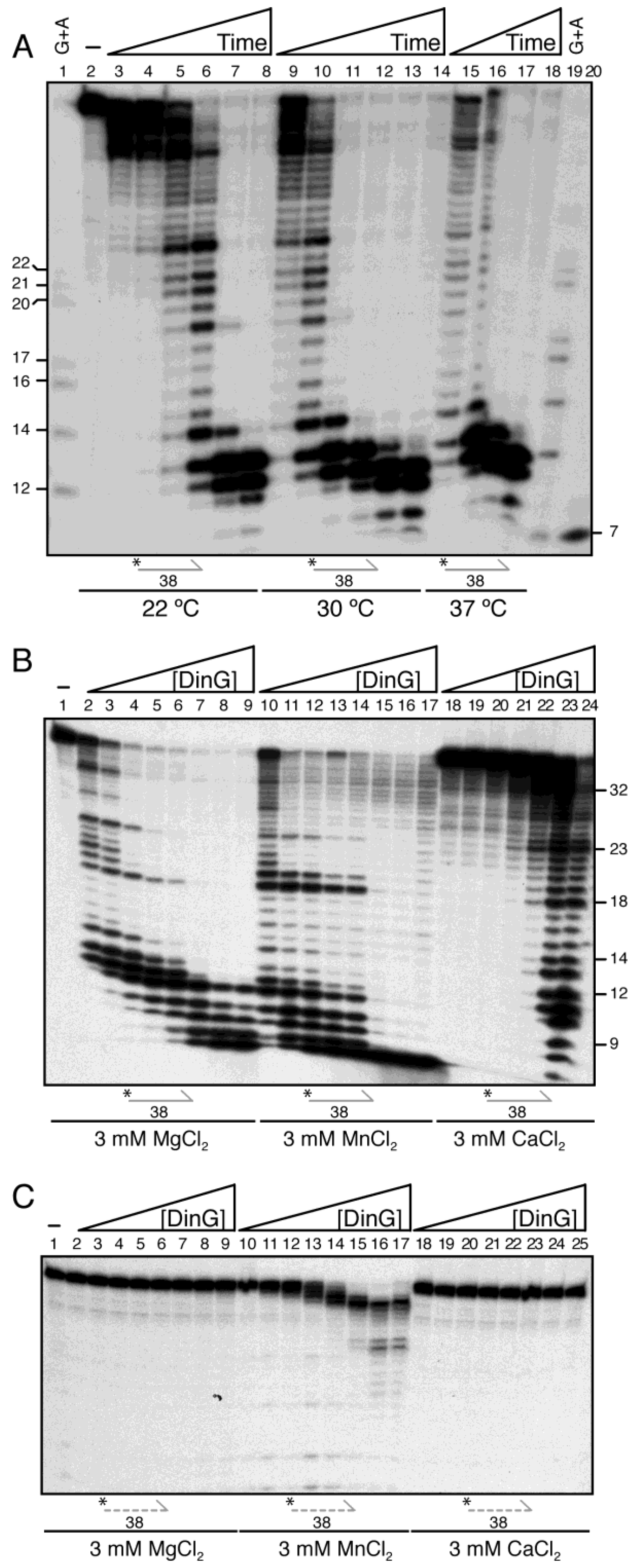 Ijms 26 09681 g001 Ijms 26 09681 g001