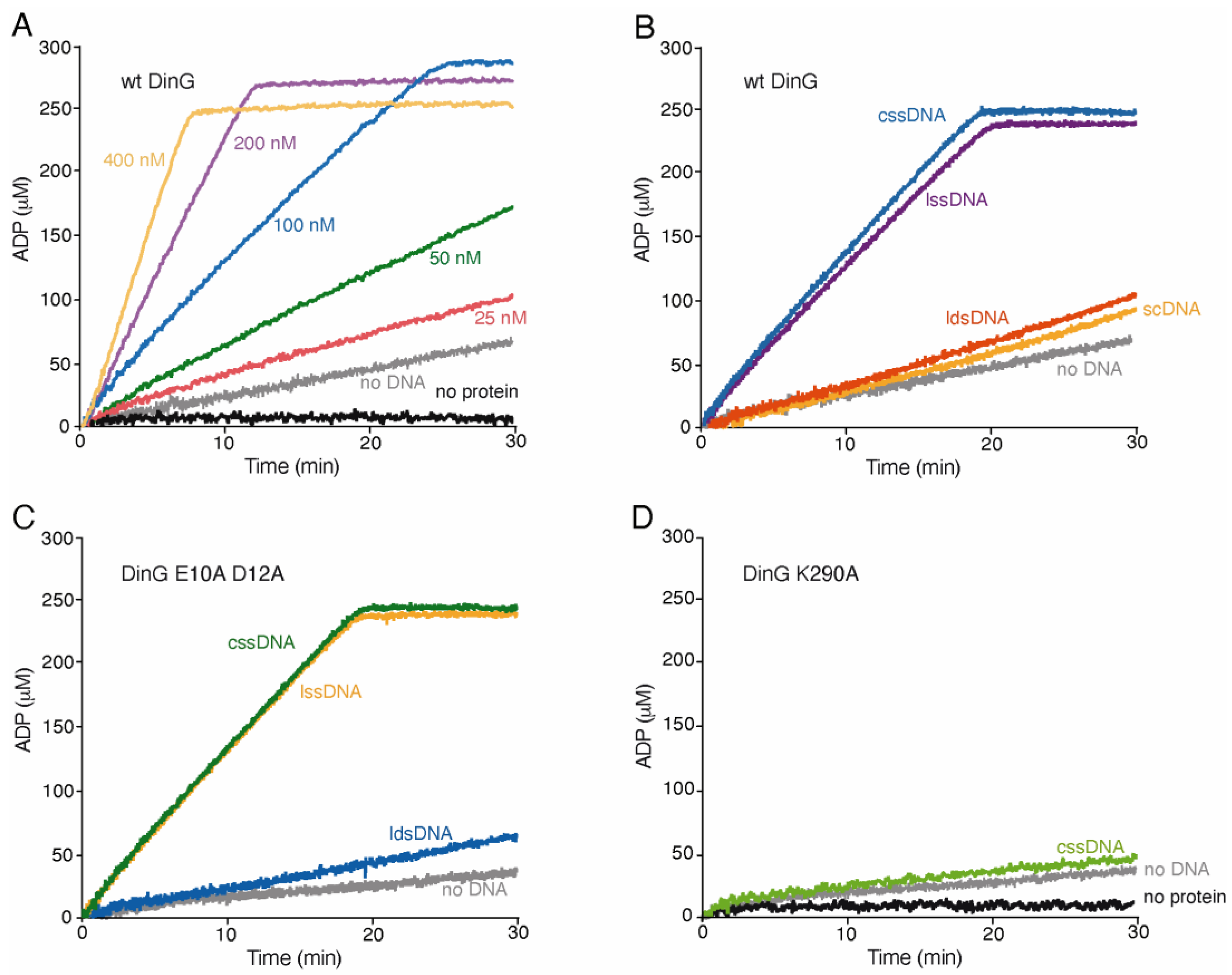 Ijms 26 09681 g002 Ijms 26 09681 g002