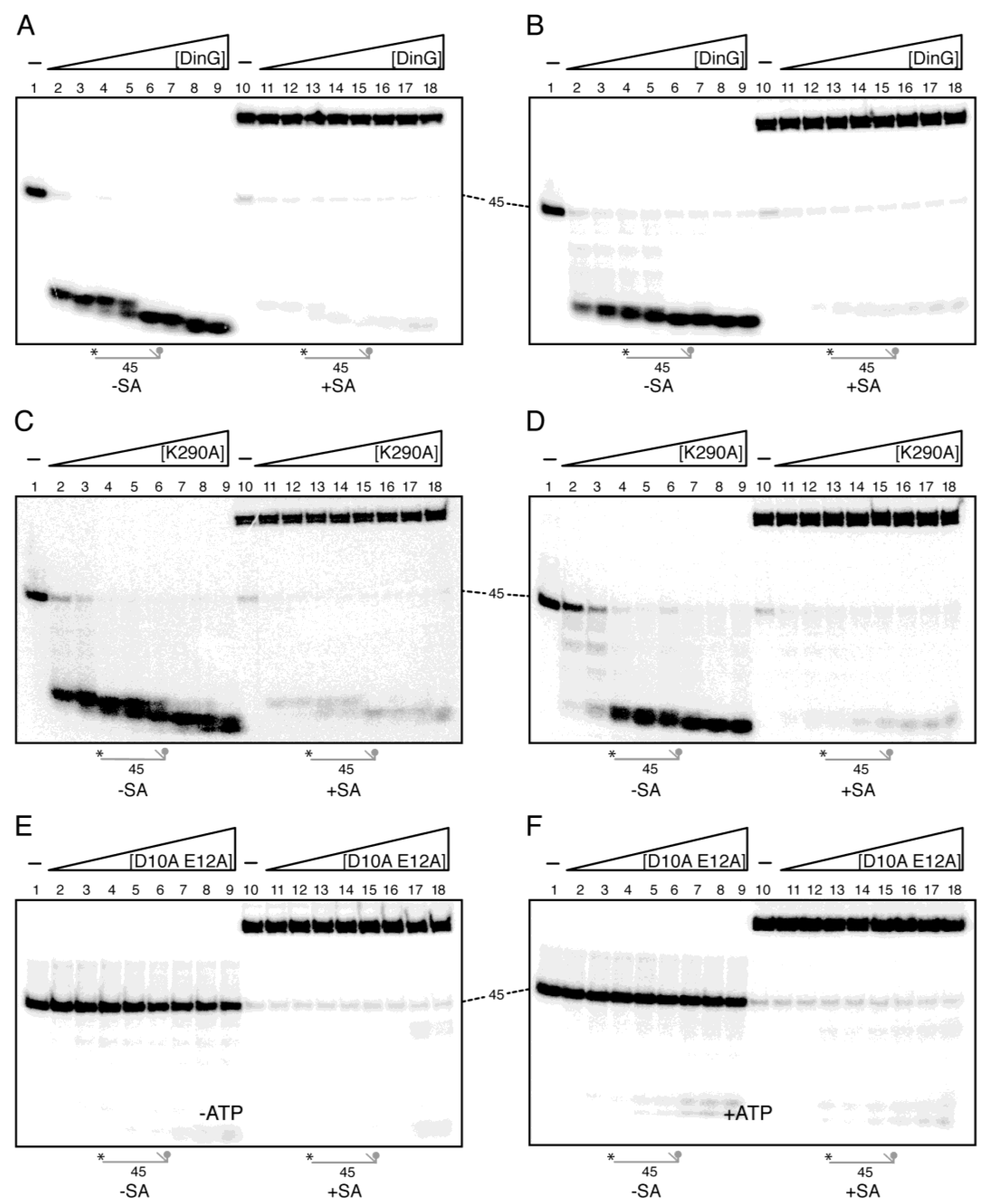 Ijms 26 09681 g003 Ijms 26 09681 g003