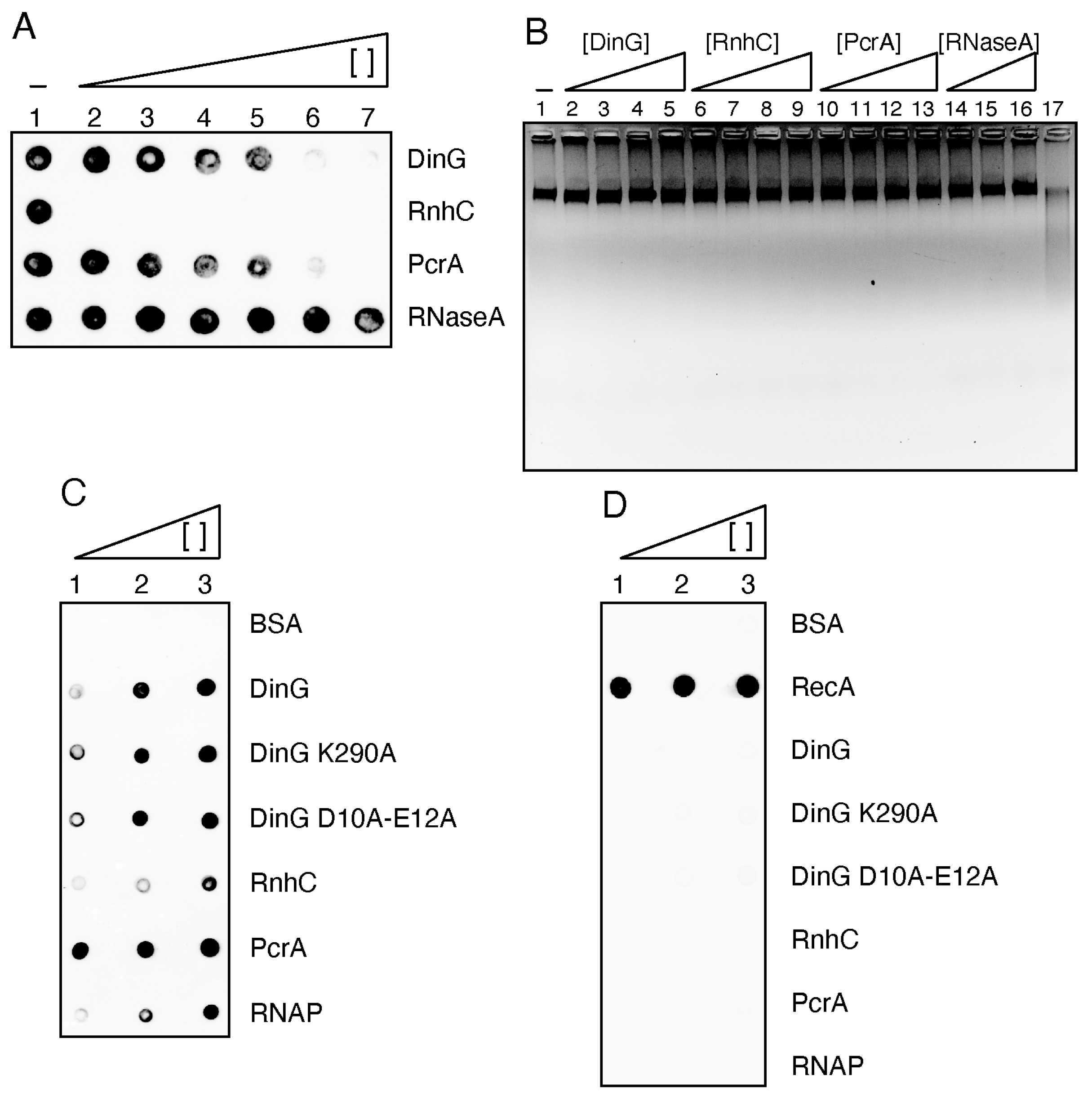 Ijms 26 09681 g008 Ijms 26 09681 g008