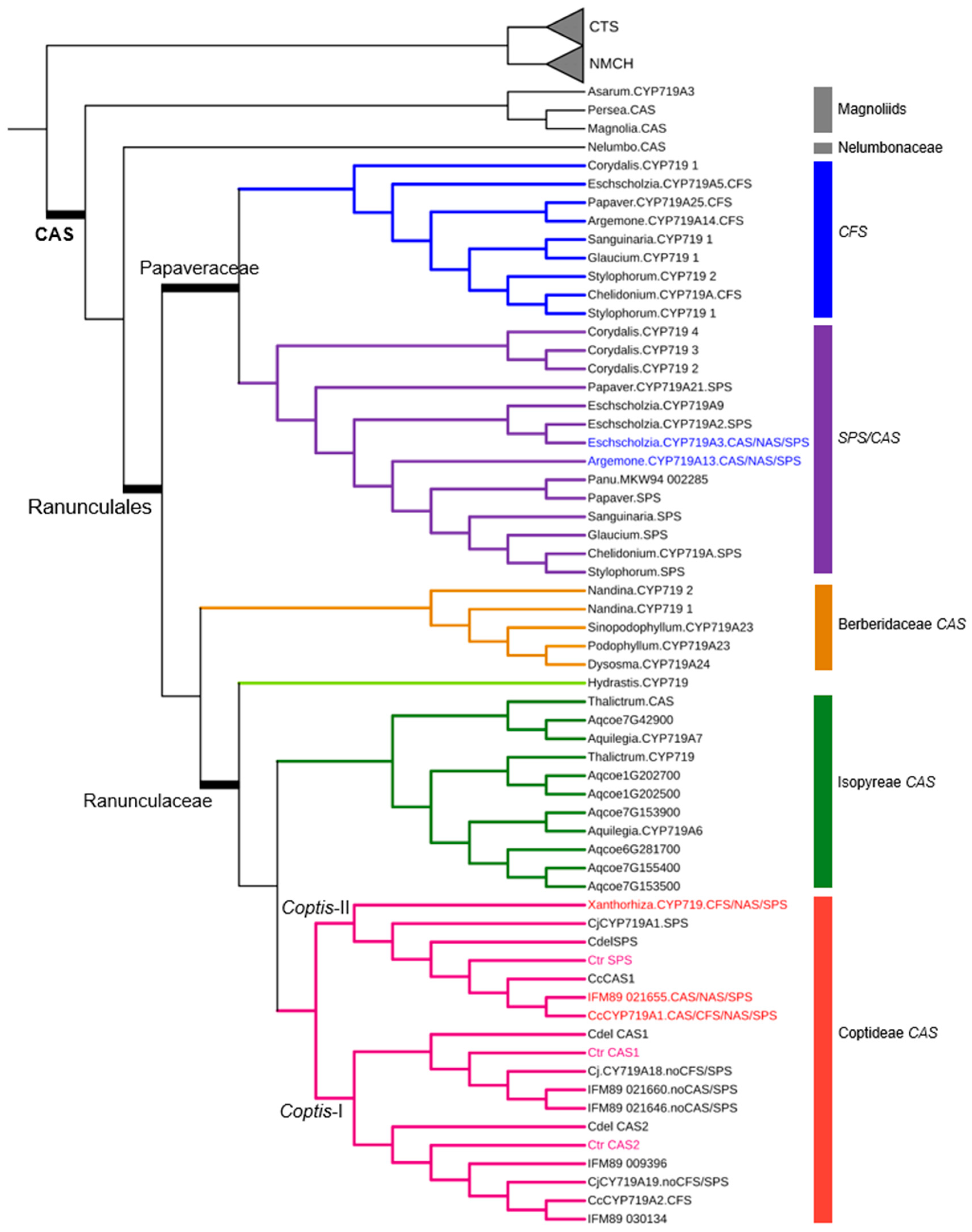 Ijms 26 09704 g003 Ijms 26 09704 g003