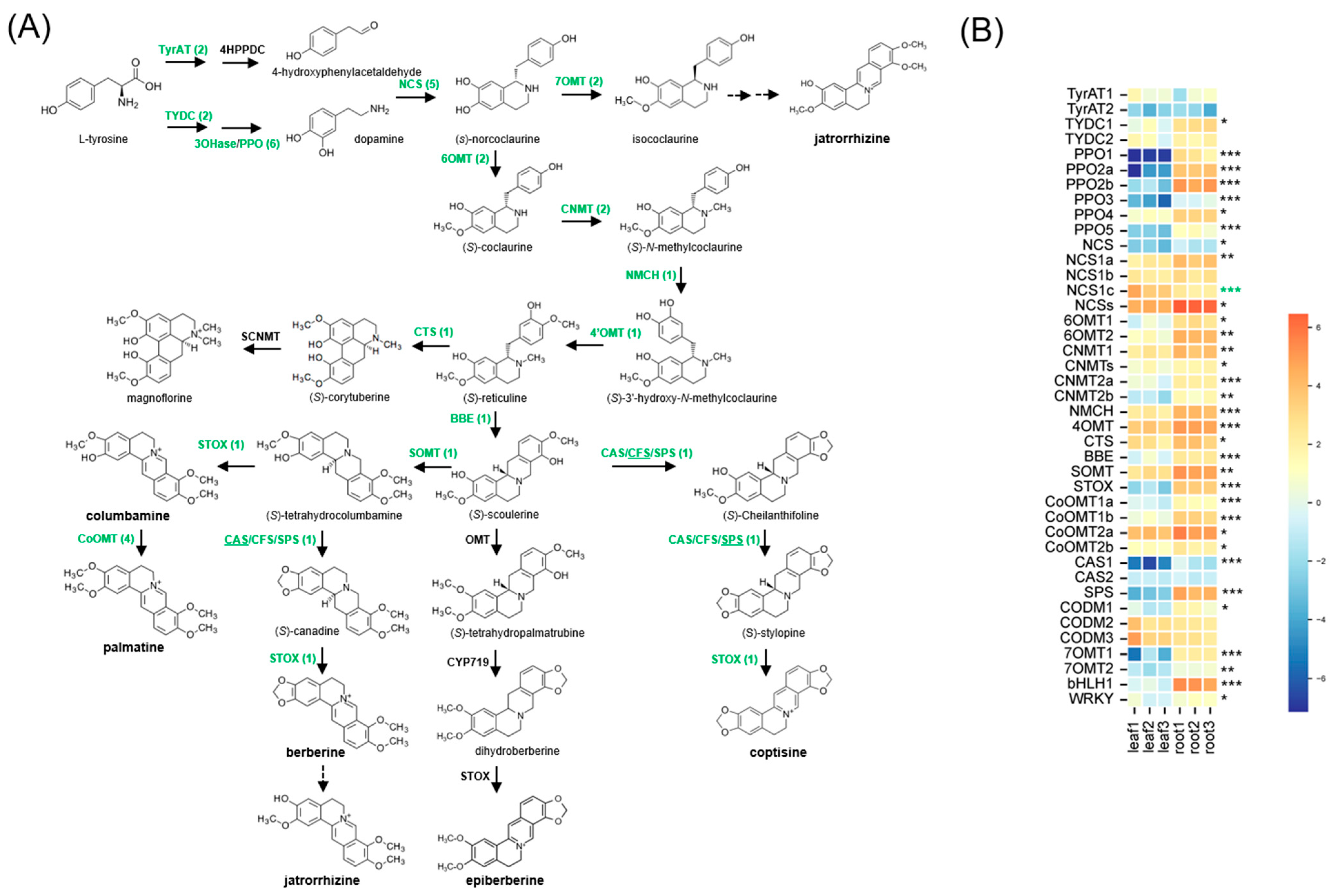 Ijms 26 09704 g004 Ijms 26 09704 g004