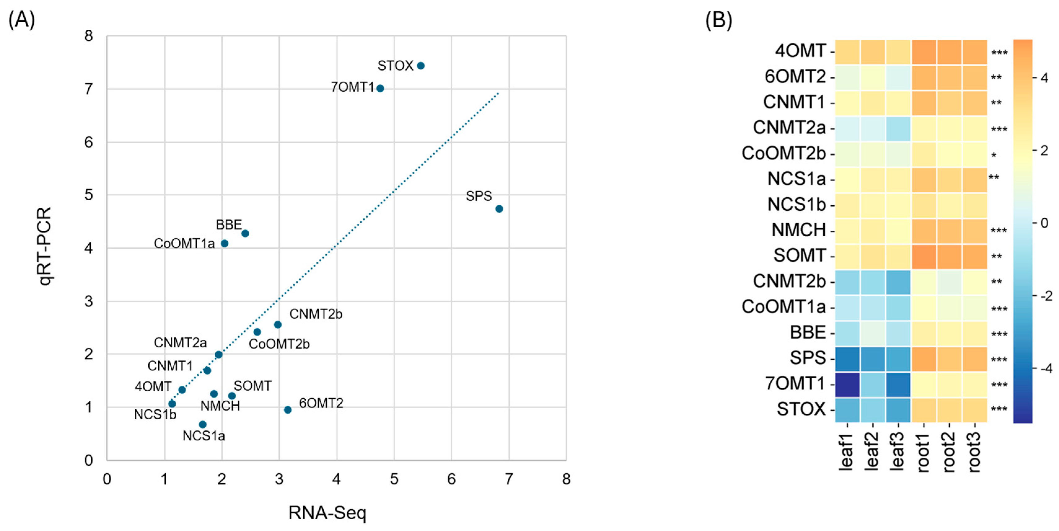 Ijms 26 09704 g005 Ijms 26 09704 g005