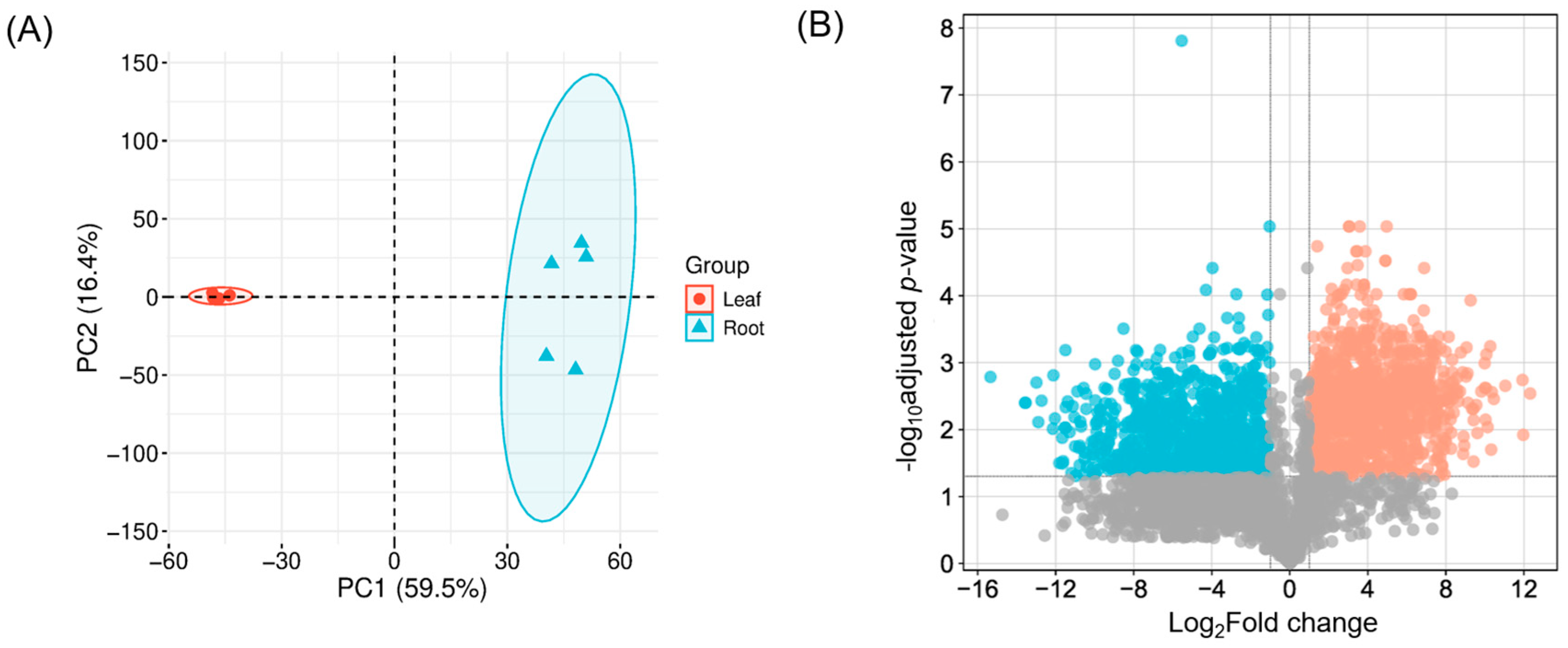 Ijms 26 09704 g006 Ijms 26 09704 g006