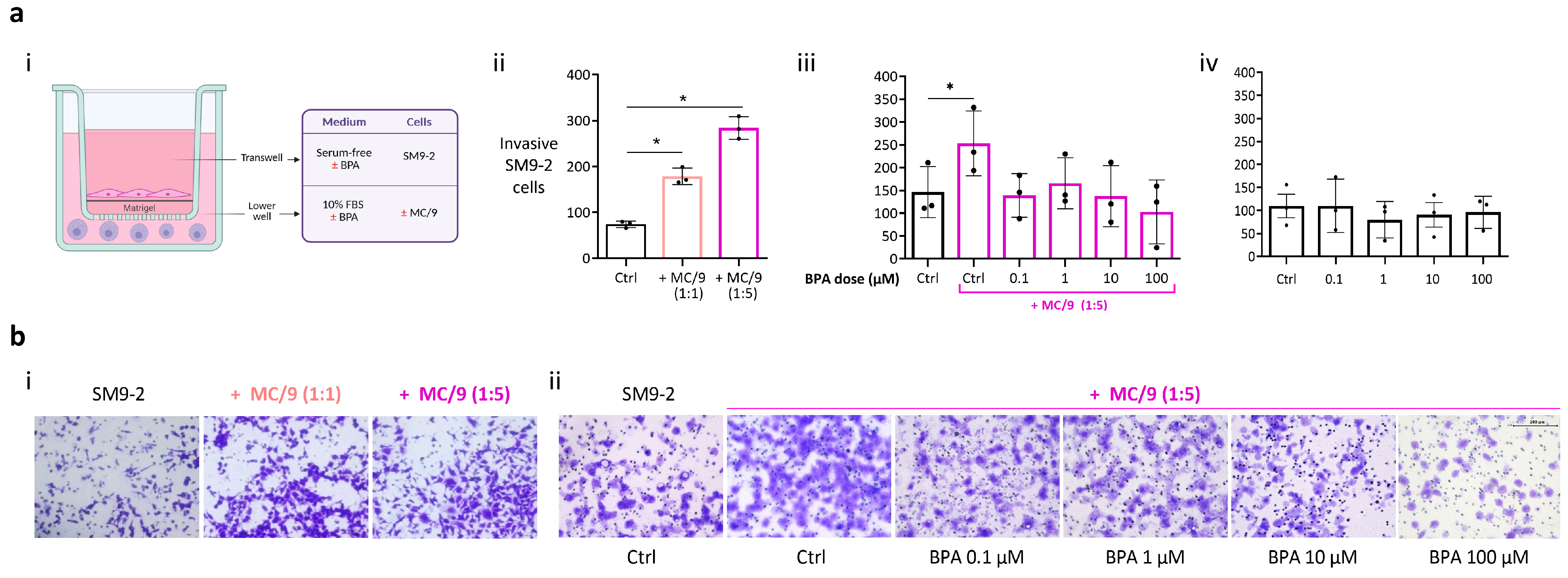Ijms 26 09706 g002 Ijms 26 09706 g002