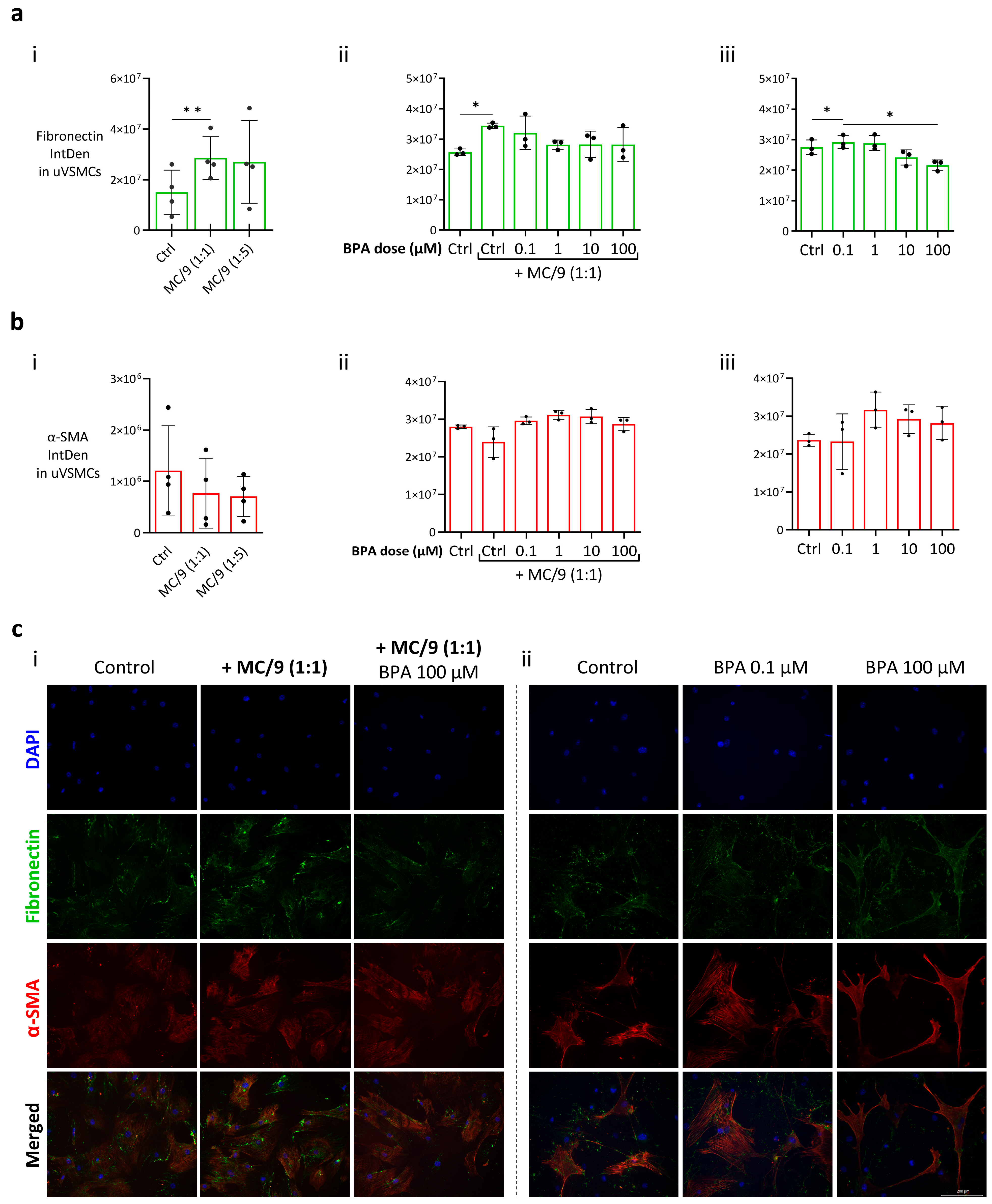 Ijms 26 09706 g004 Ijms 26 09706 g004