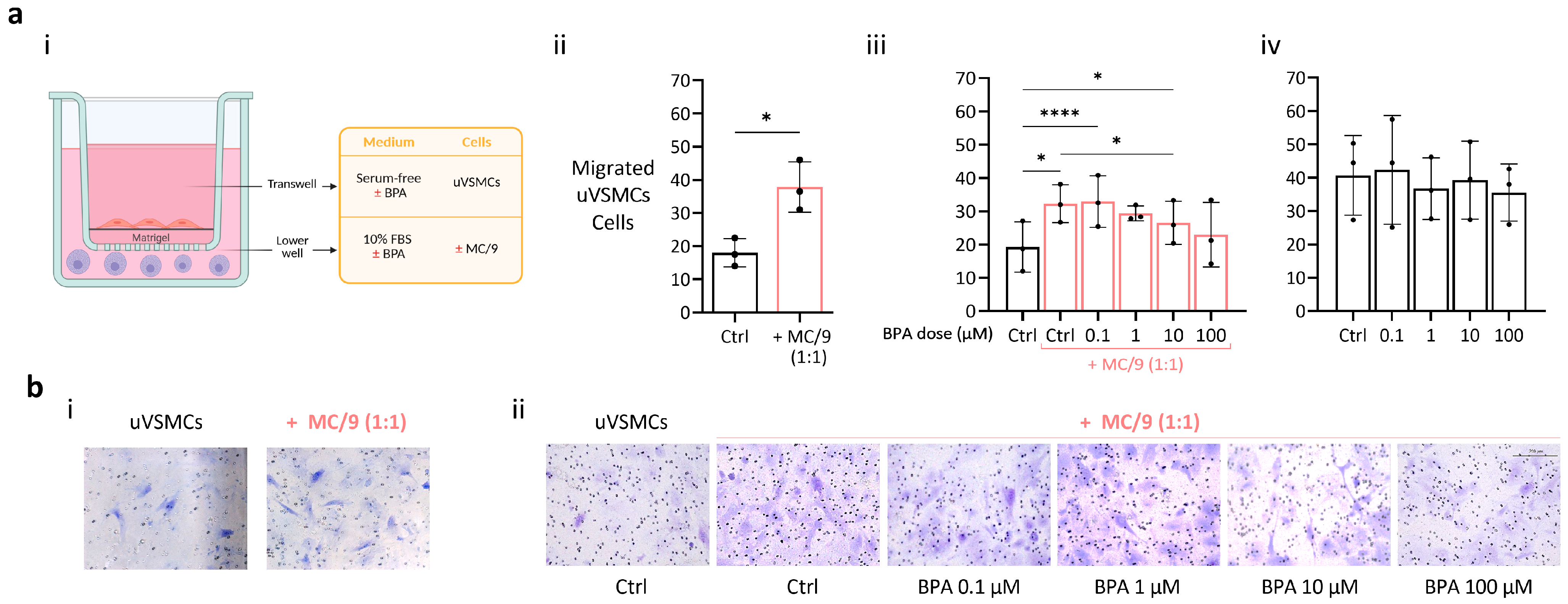 Ijms 26 09706 g005 Ijms 26 09706 g005