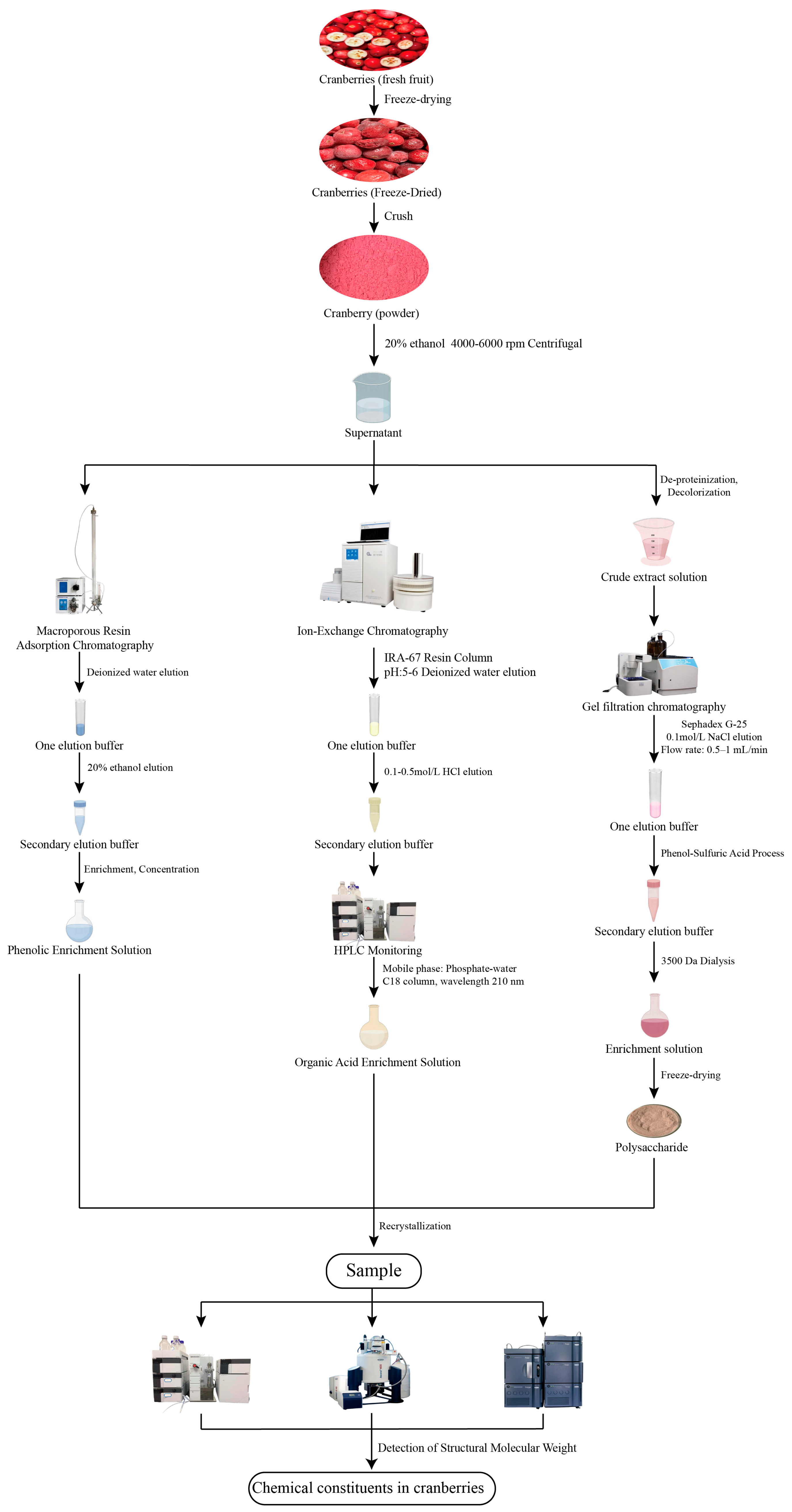 Ijms 26 09707 g002 Ijms 26 09707 g002