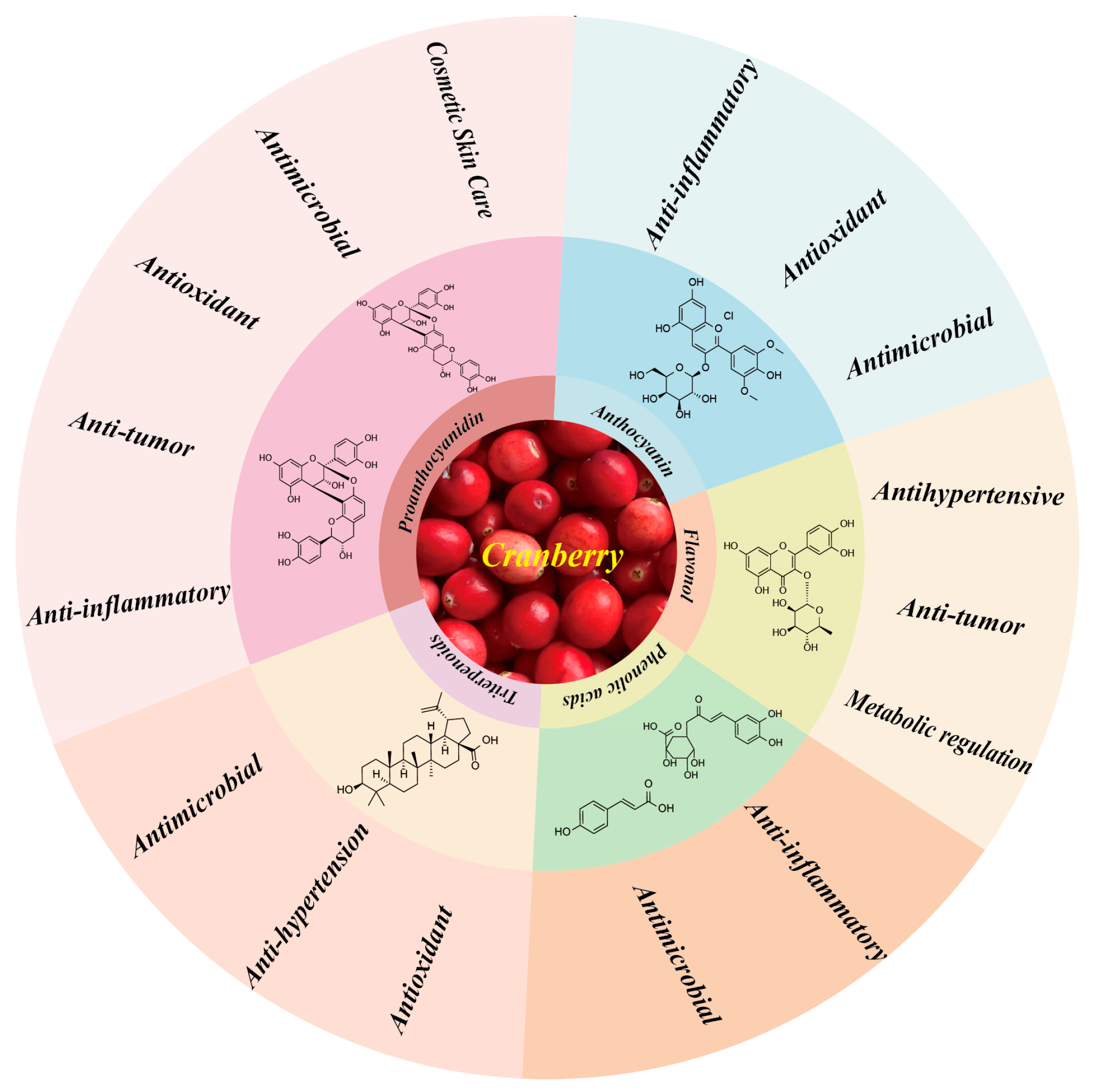 Ijms 26 09707 g007 Ijms 26 09707 g007