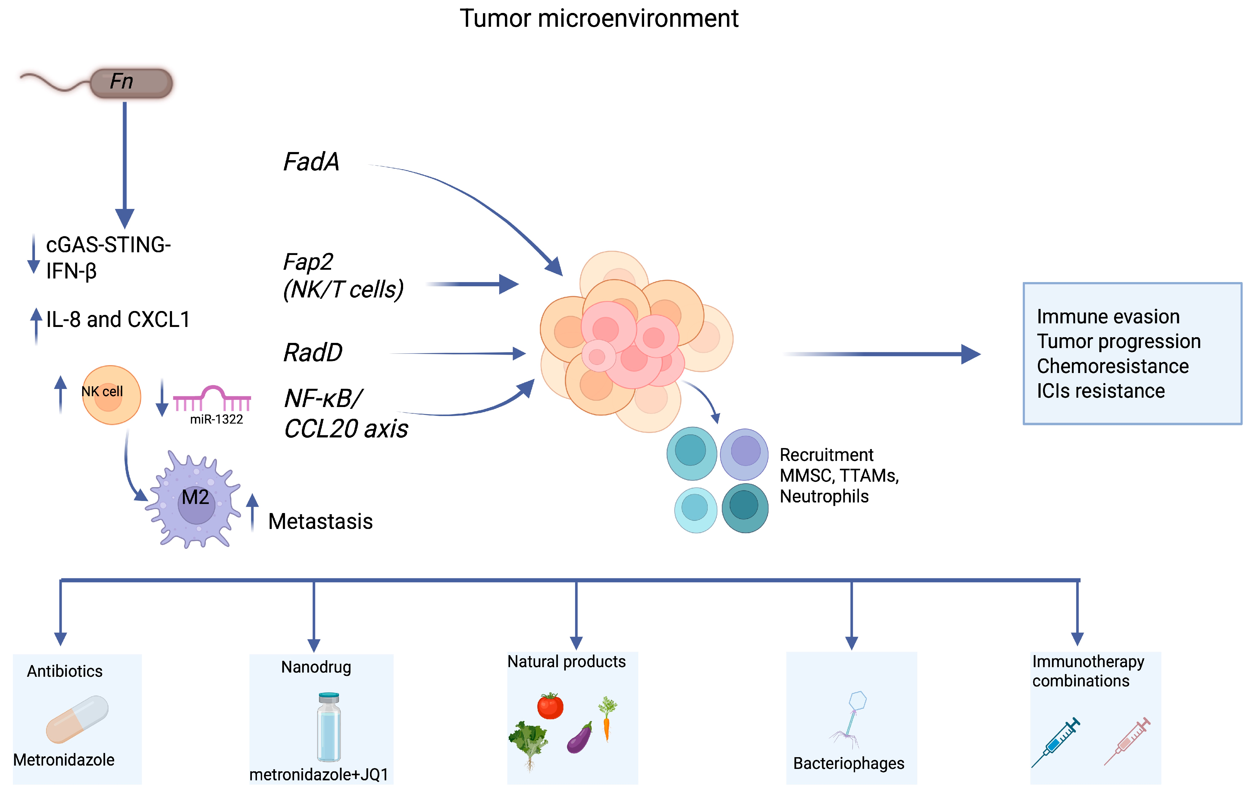 Ijms 26 09710 g004 Ijms 26 09710 g004