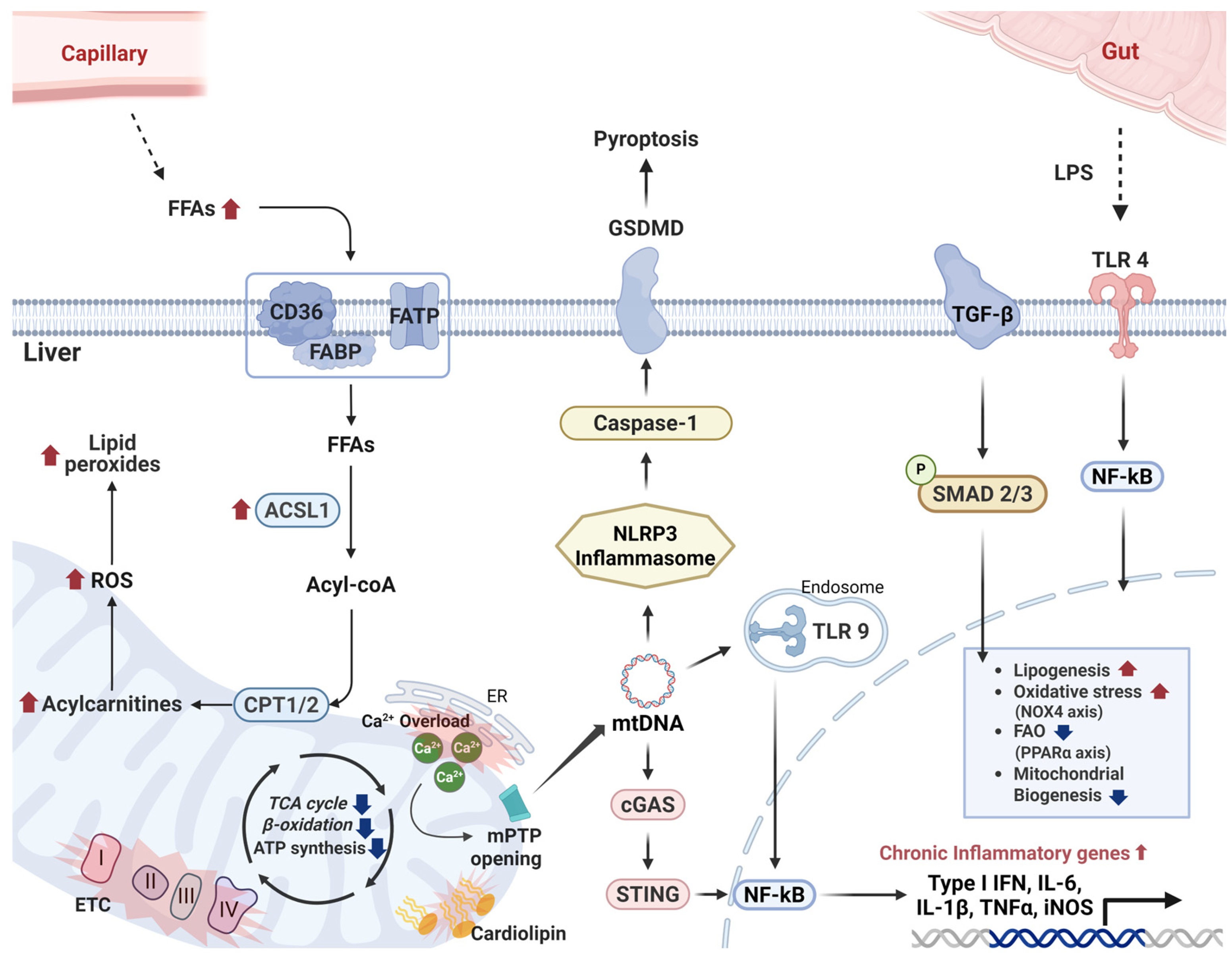Ijms 26 09715 g002 Ijms 26 09715 g002