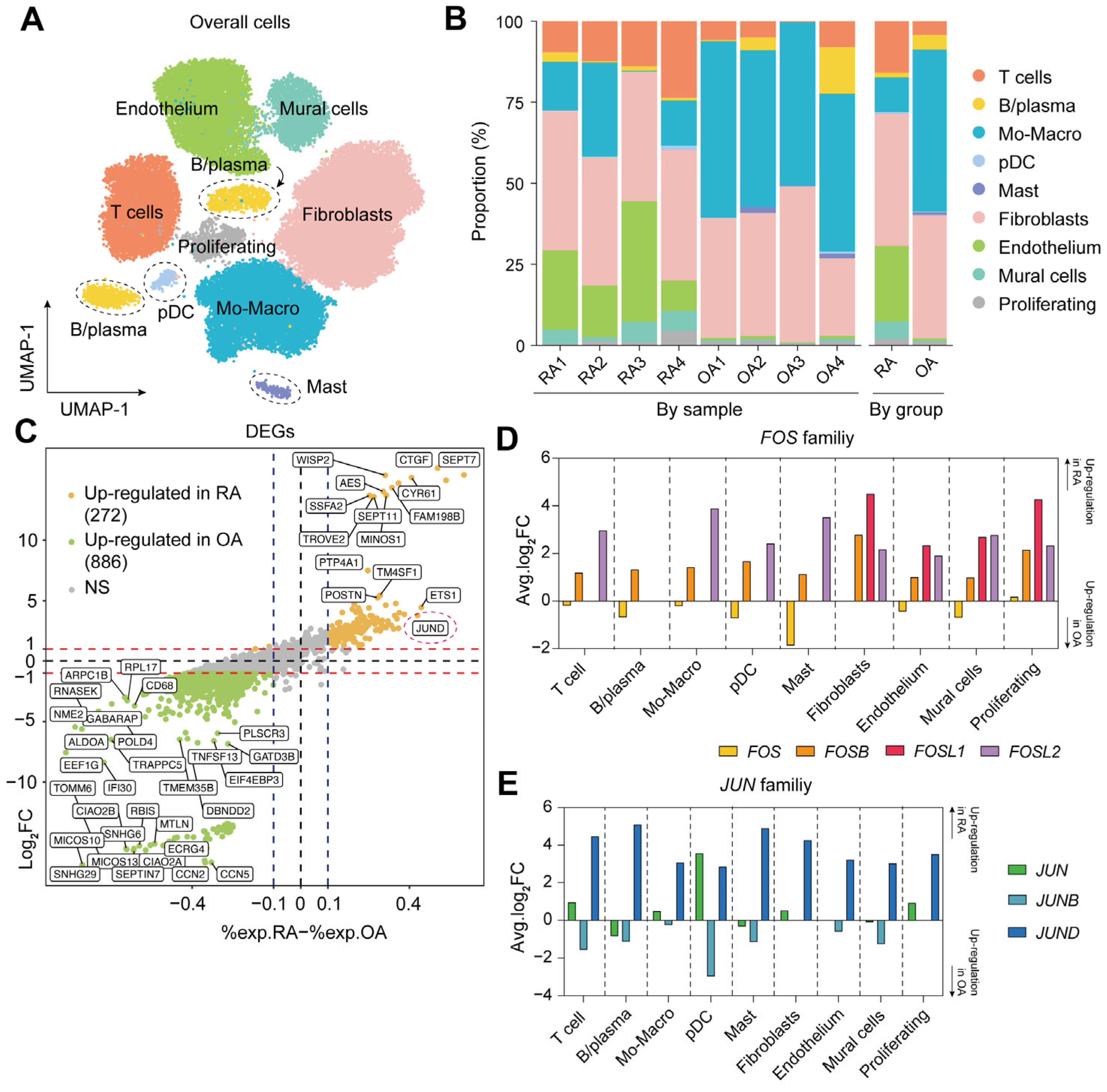 Ijms 26 09718 g001 Ijms 26 09718 g001