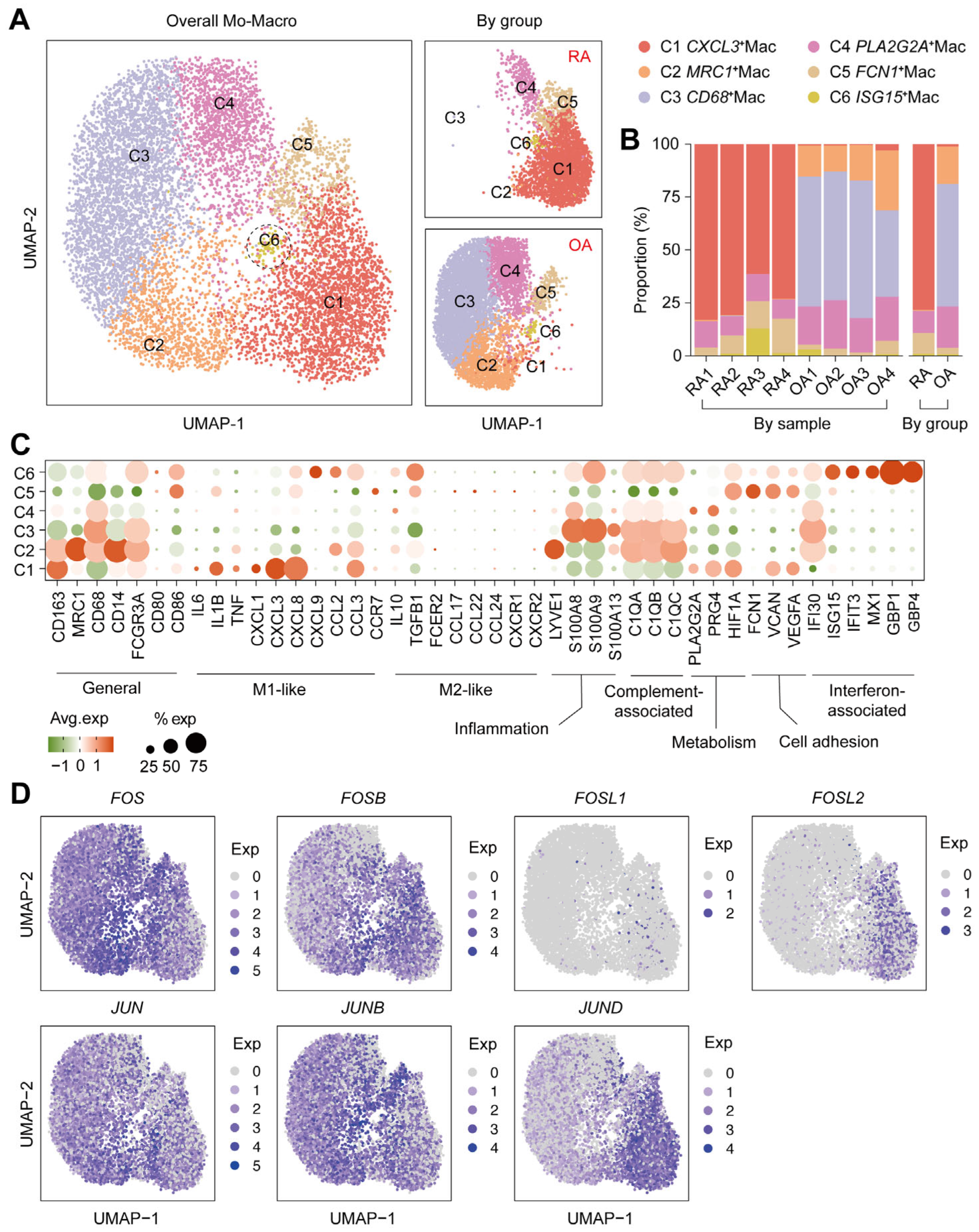 Ijms 26 09718 g002 Ijms 26 09718 g002