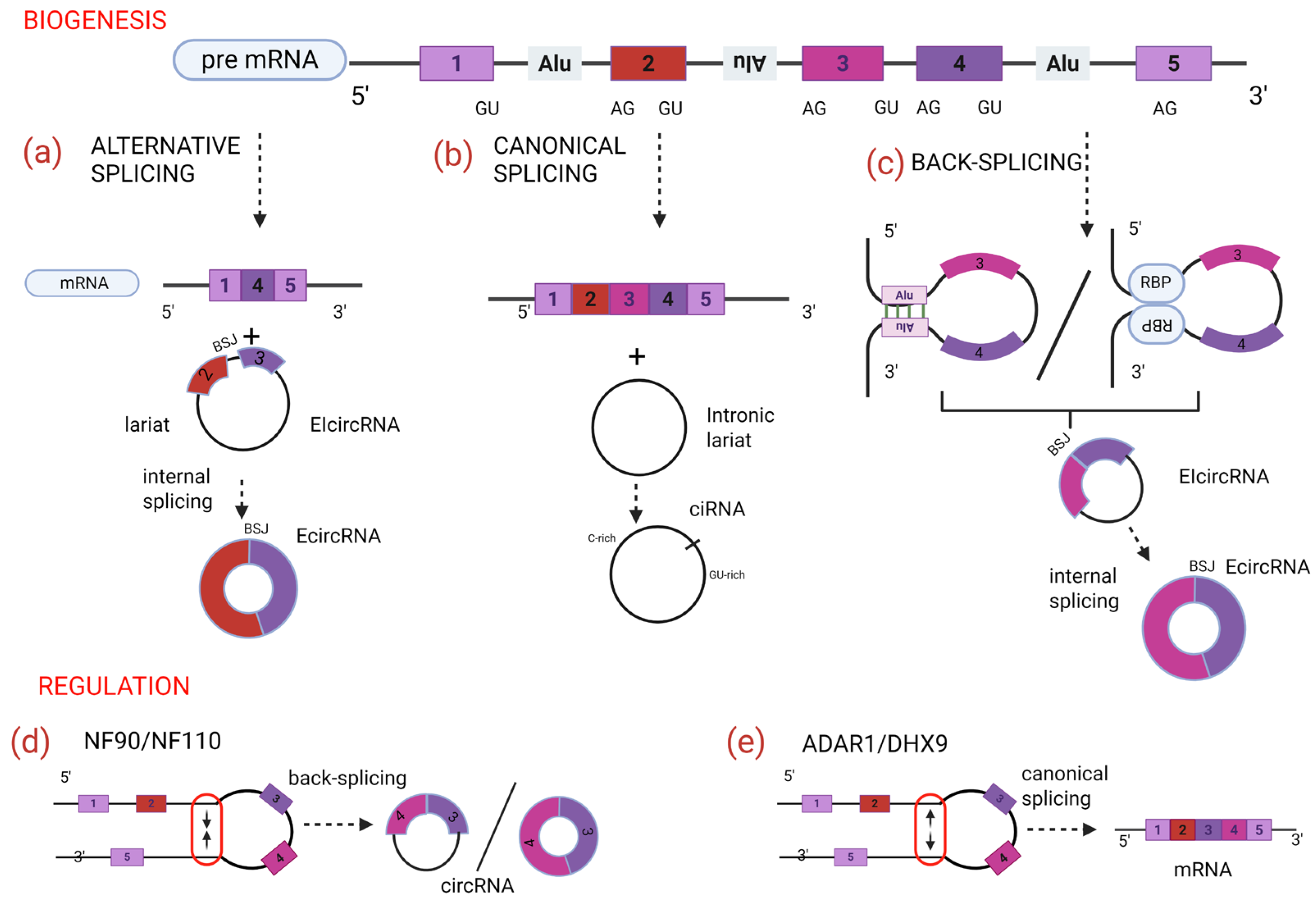 Ijms 26 09725 g001 Ijms 26 09725 g001