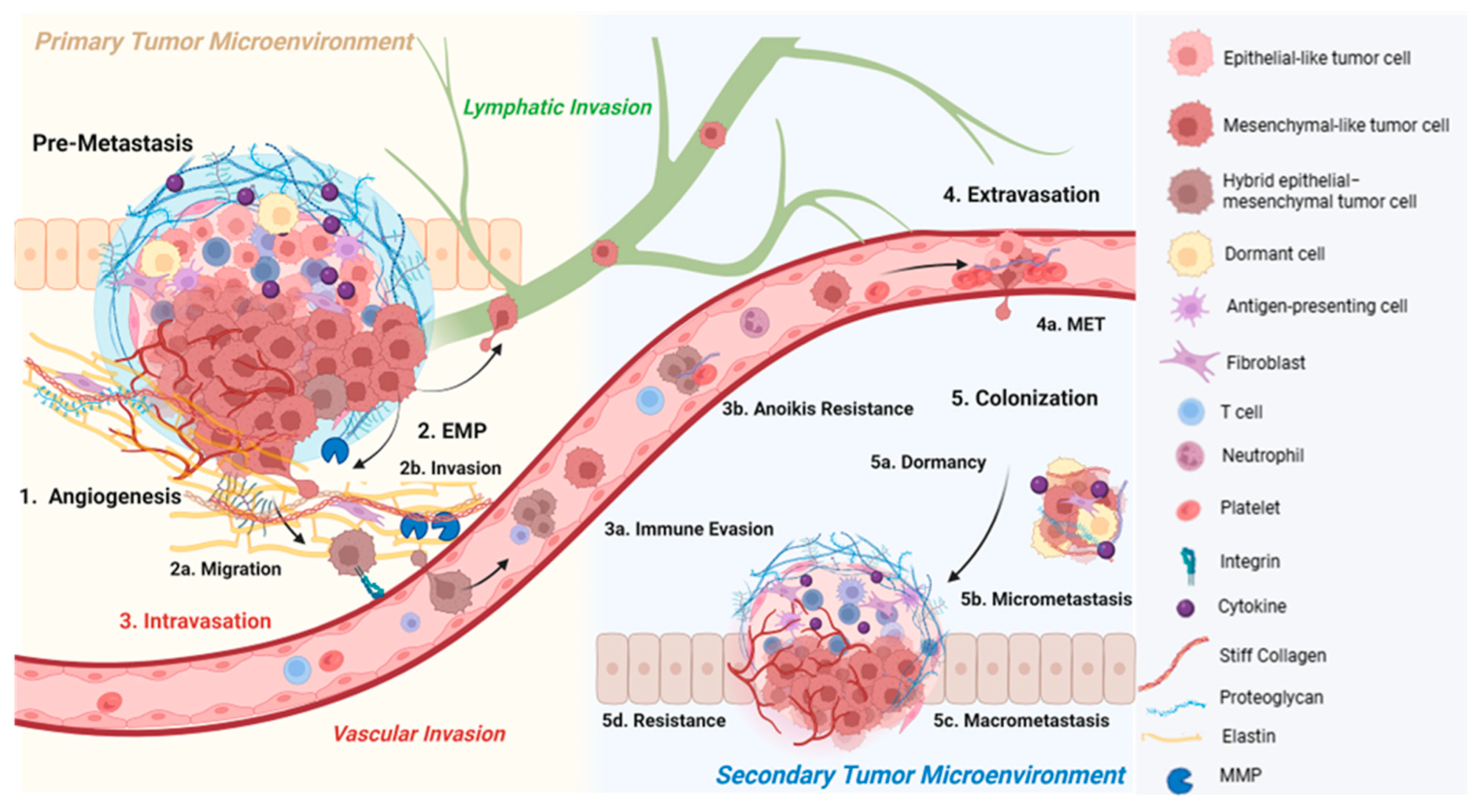 Ijms 26 09745 g003 Ijms 26 09745 g003