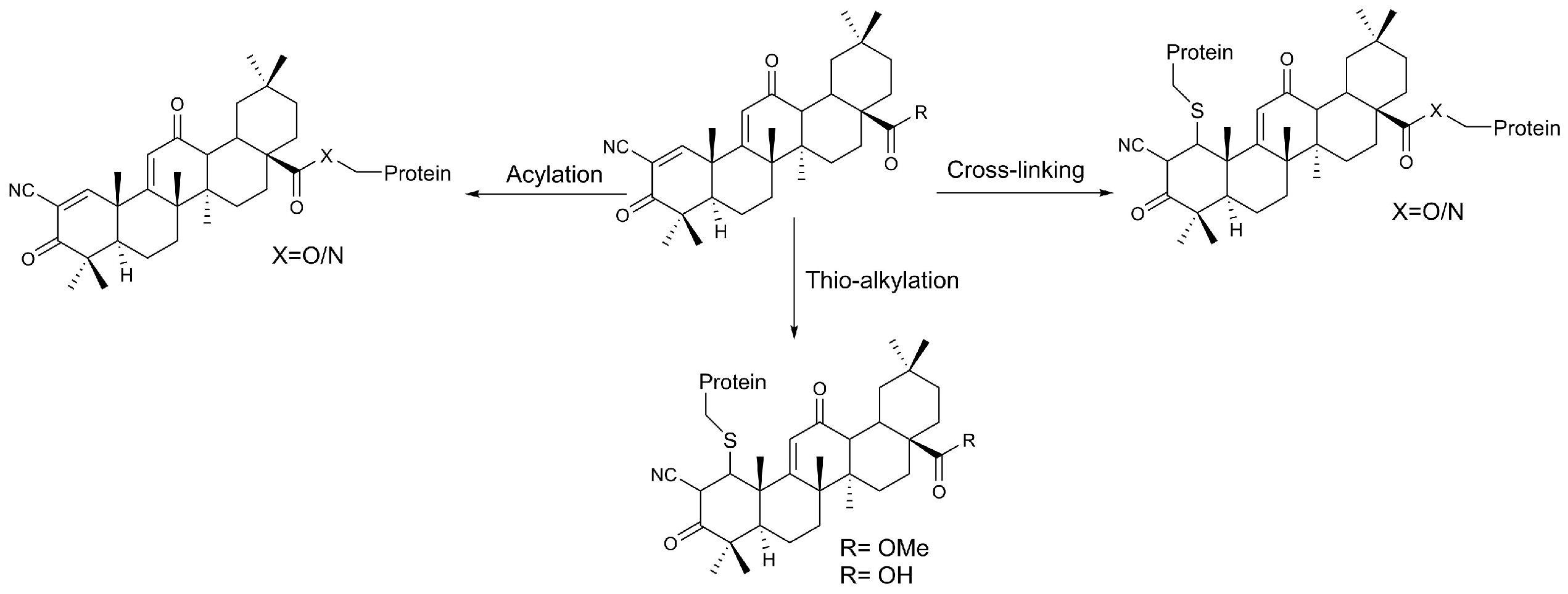 Ijms 26 09747 g003 Ijms 26 09747 g003