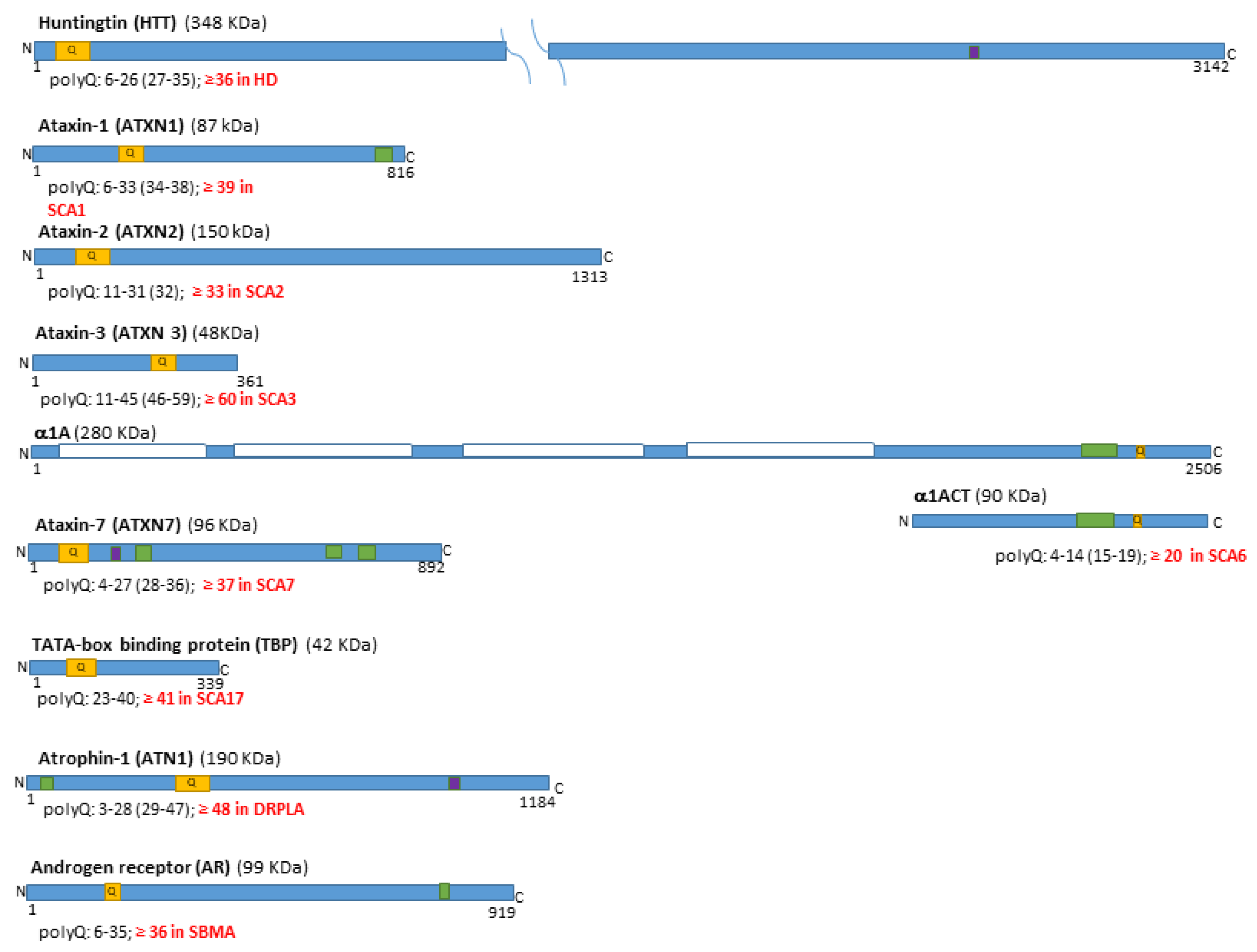 Ijms 26 09755 g001 Ijms 26 09755 g001