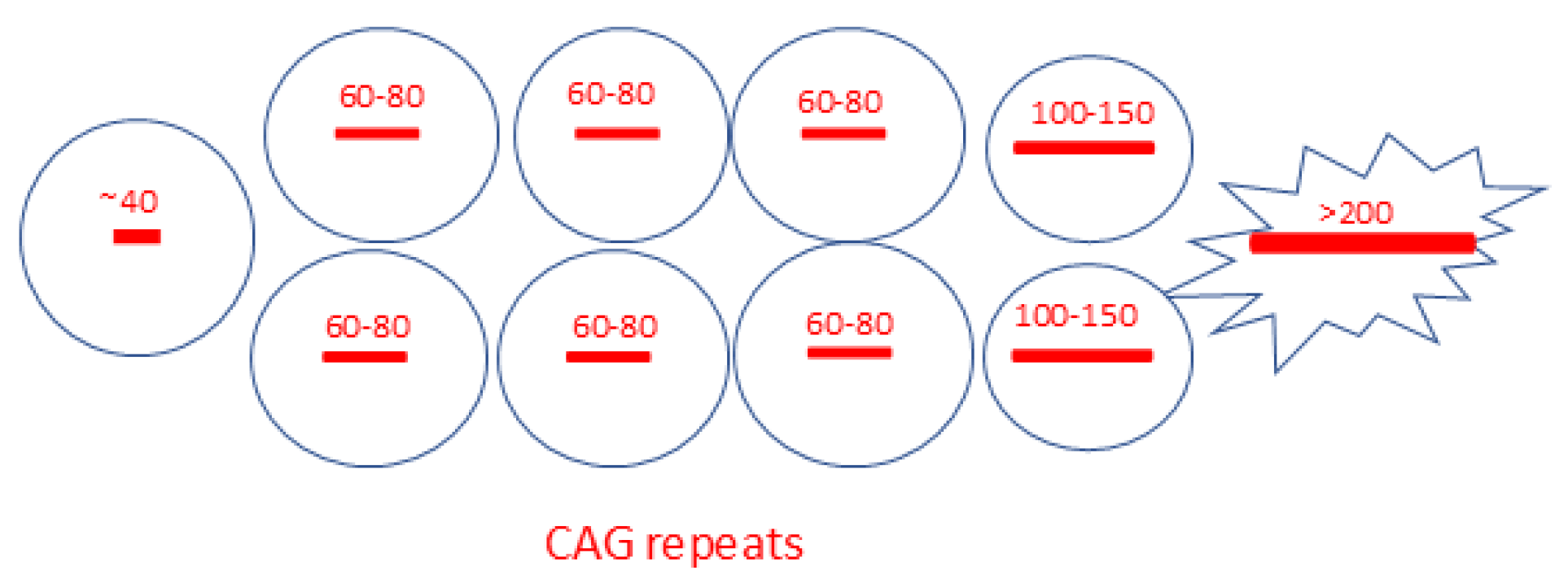 Ijms 26 09755 g003 Ijms 26 09755 g003