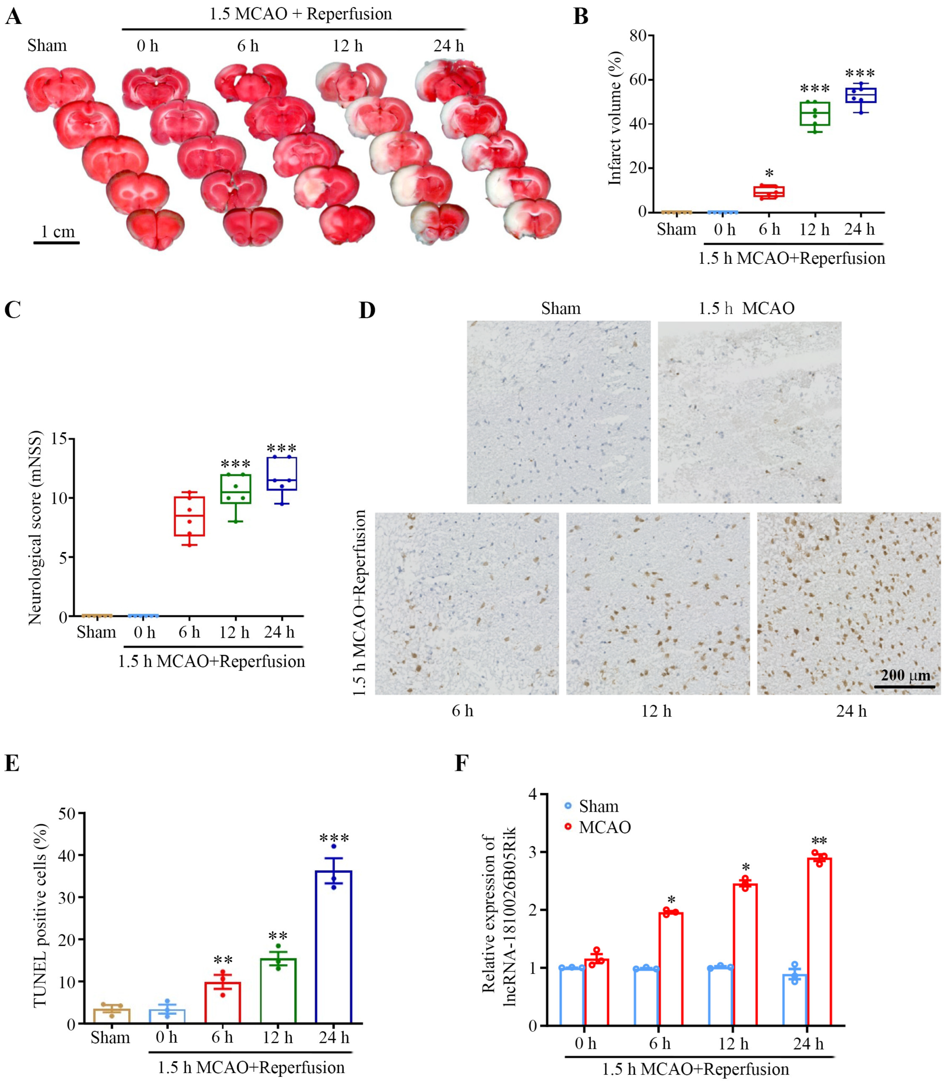 Ijms 26 09756 g001 Ijms 26 09756 g001