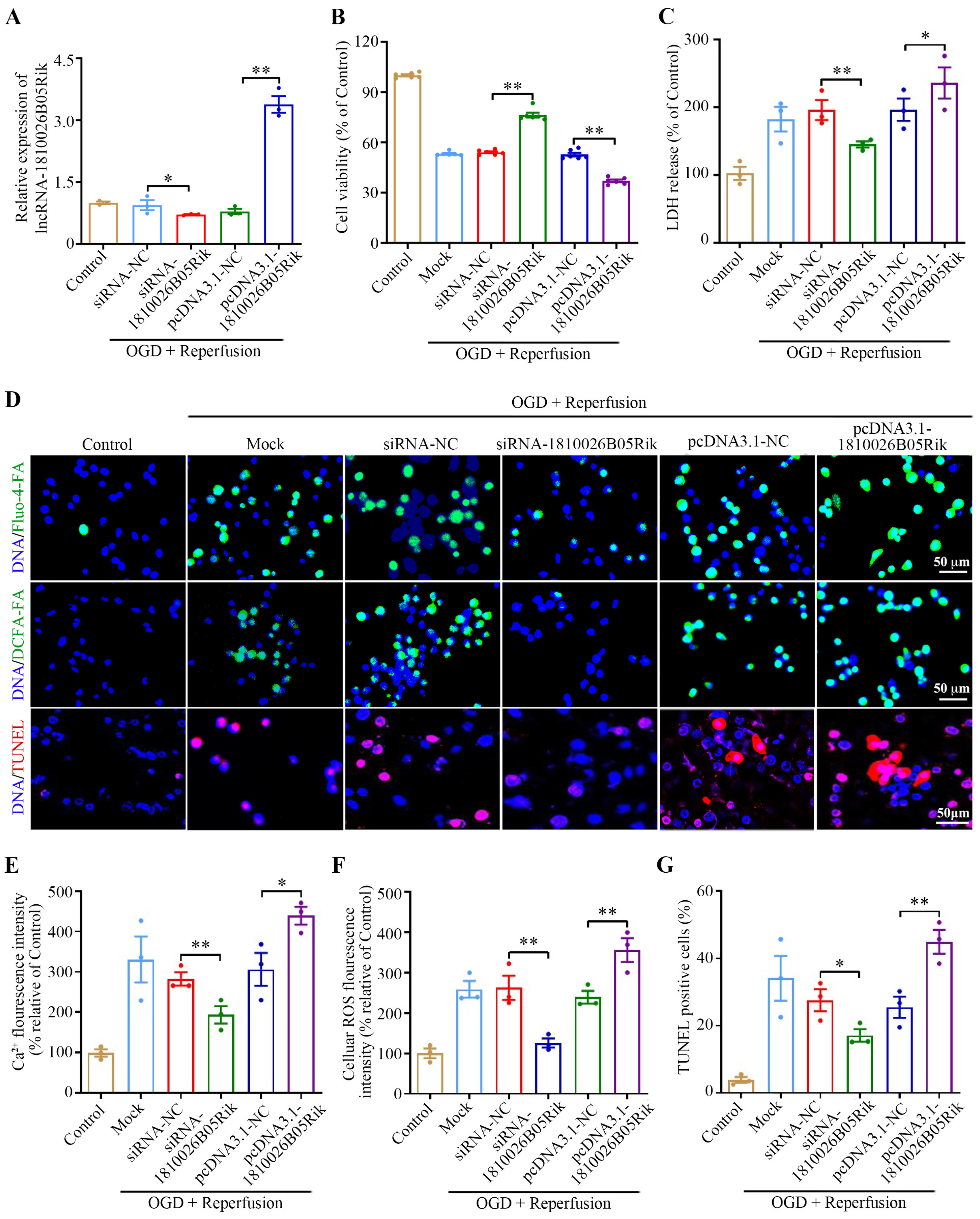Ijms 26 09756 g003 Ijms 26 09756 g003