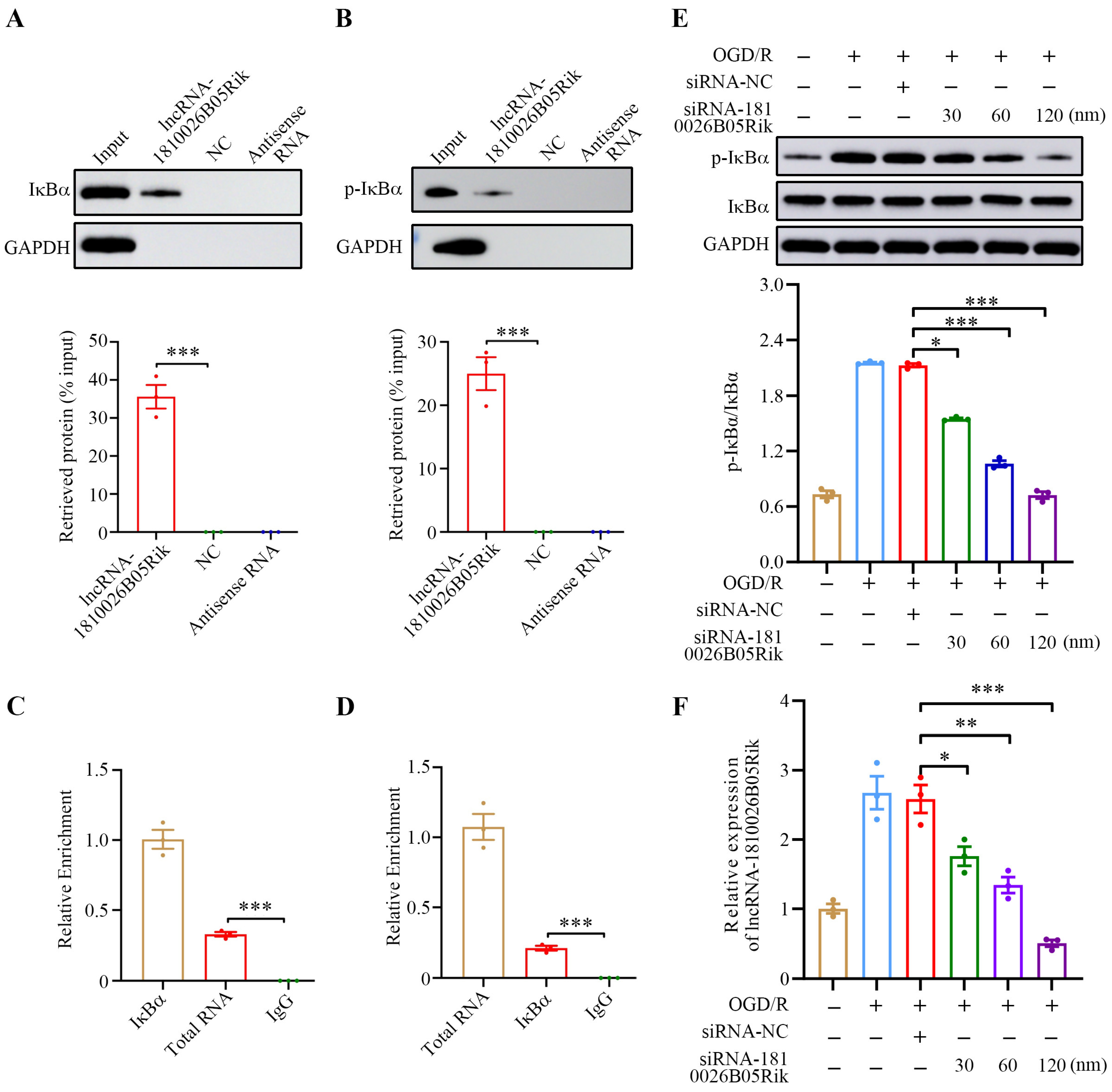 Ijms 26 09756 g005 Ijms 26 09756 g005
