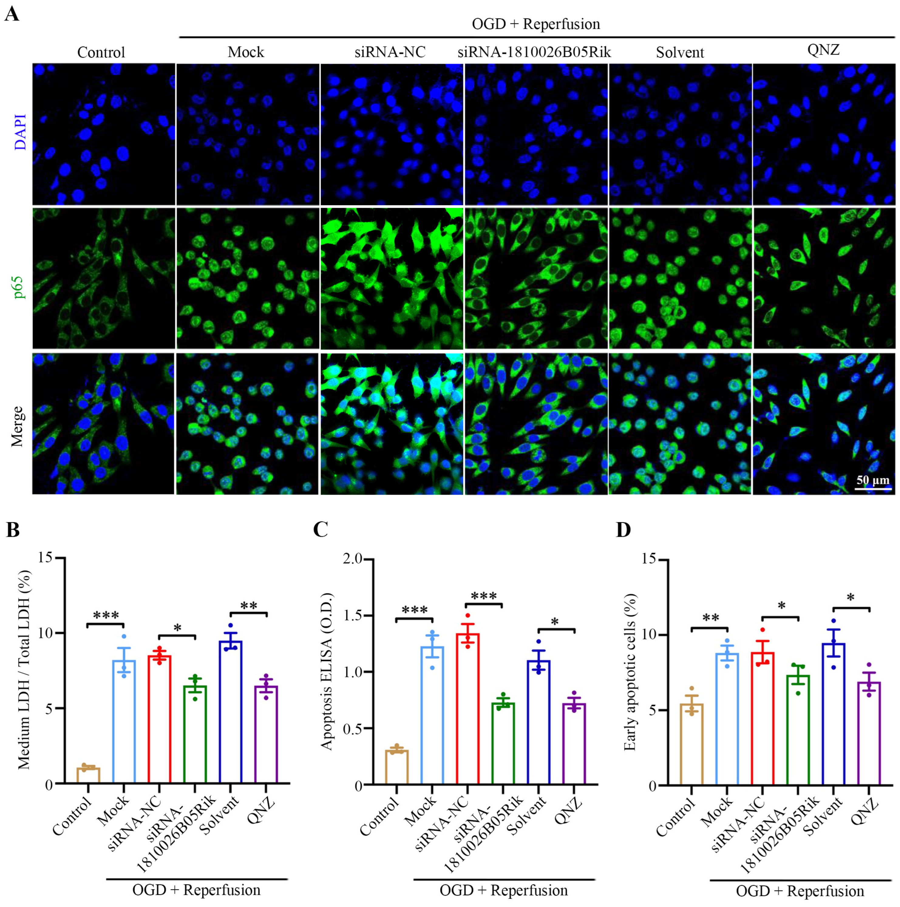Ijms 26 09756 g006 Ijms 26 09756 g006