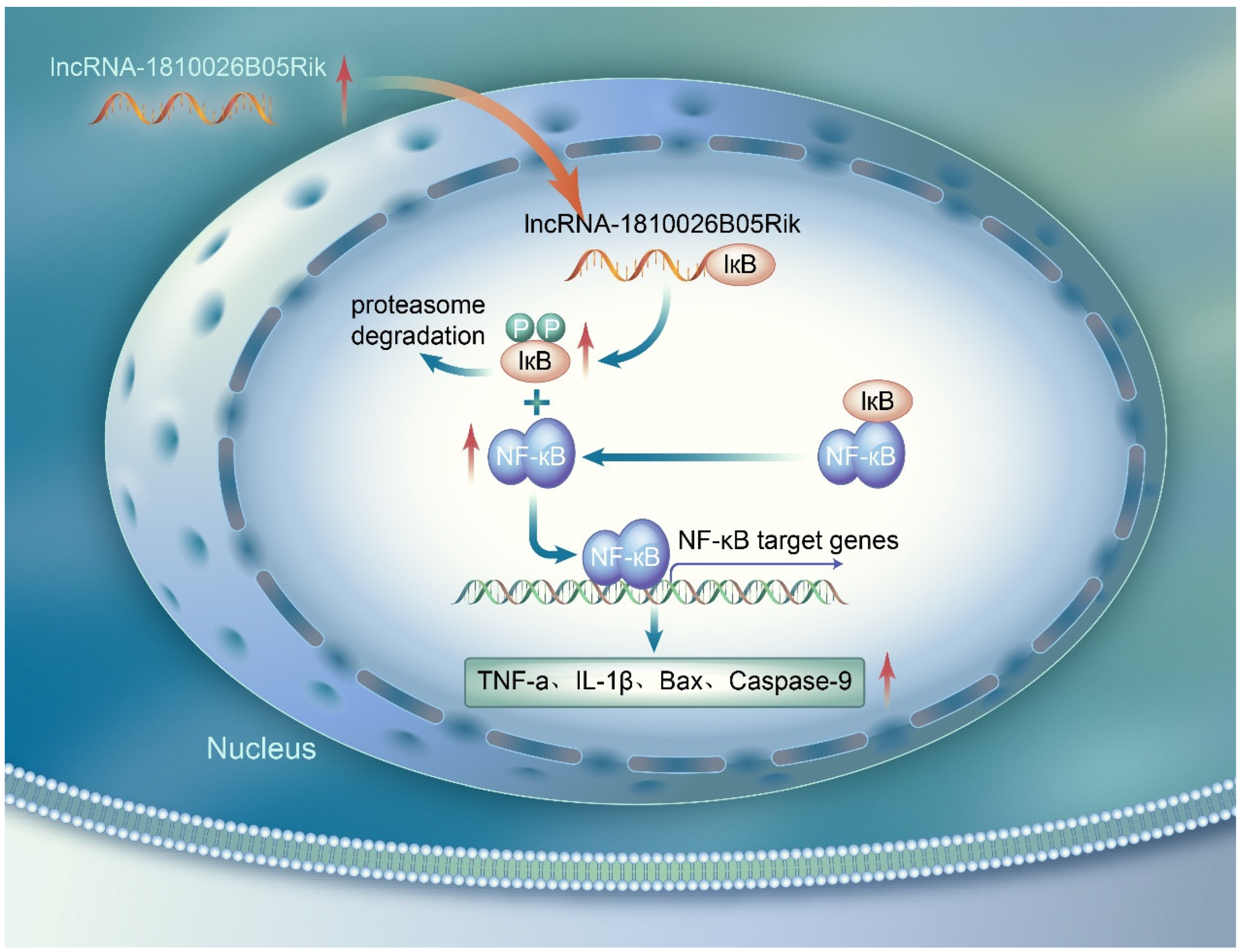 Ijms 26 09756 g008 Ijms 26 09756 g008