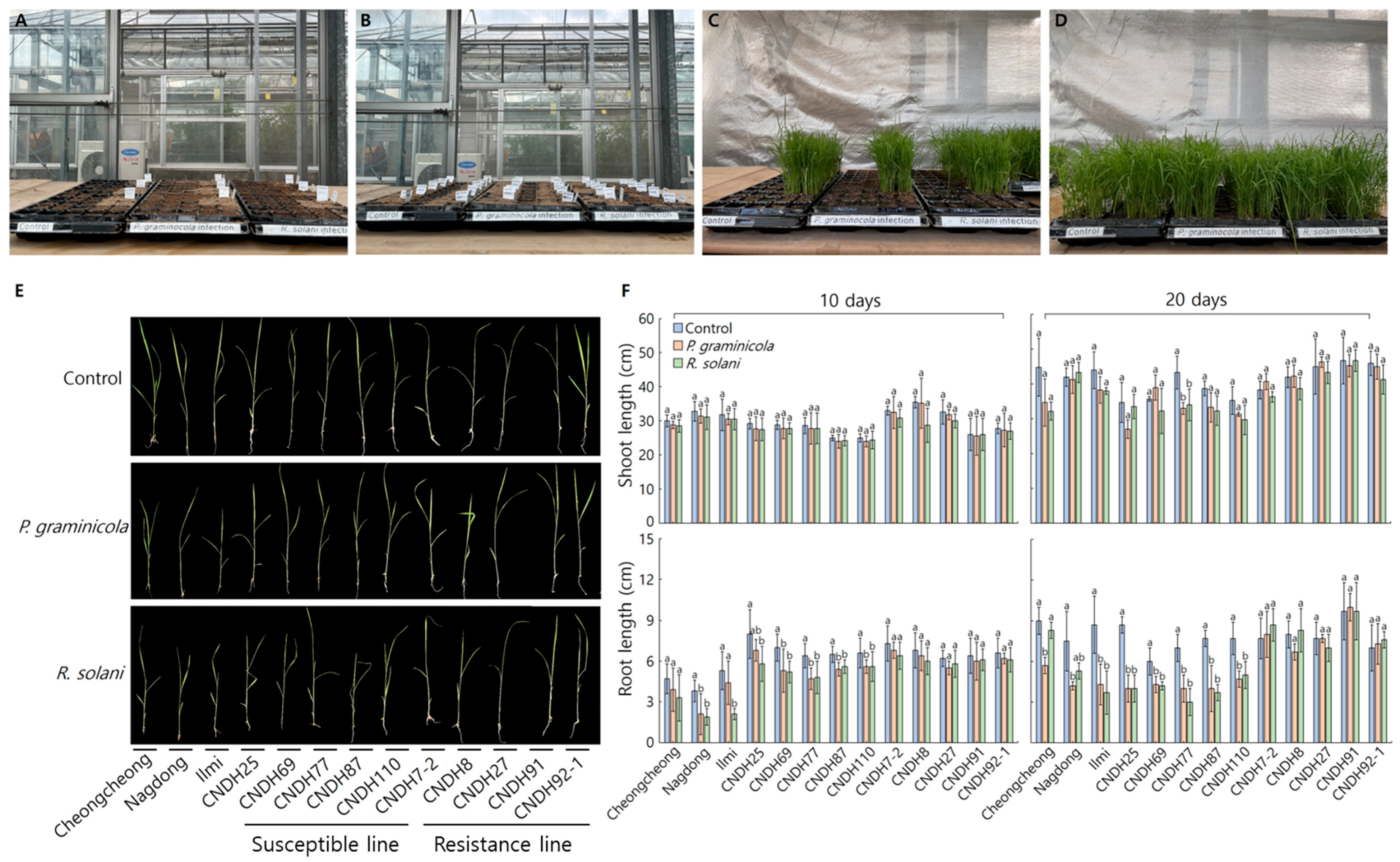Ijms 26 09761 g001 Ijms 26 09761 g001