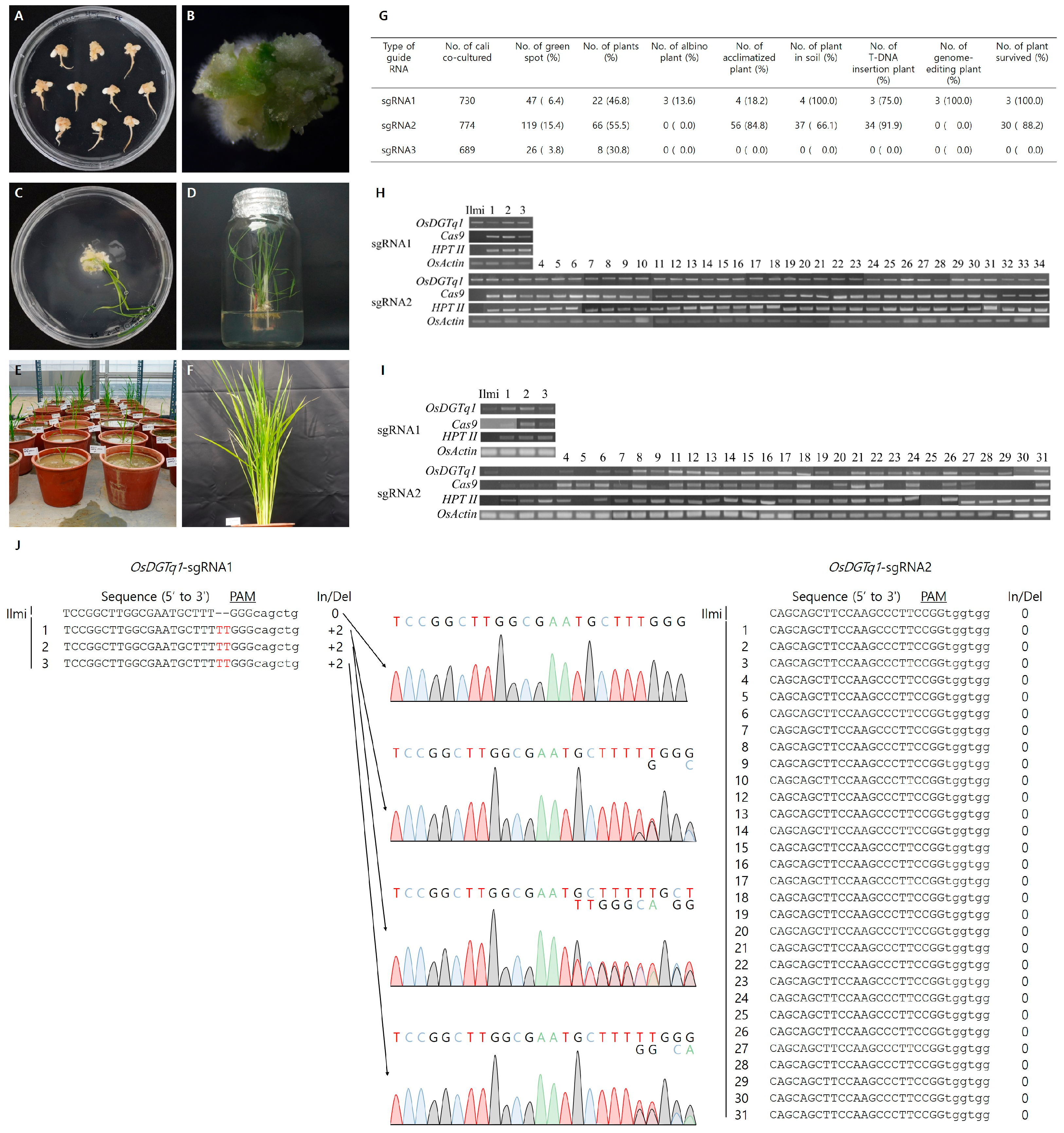 Ijms 26 09761 g003 Ijms 26 09761 g003