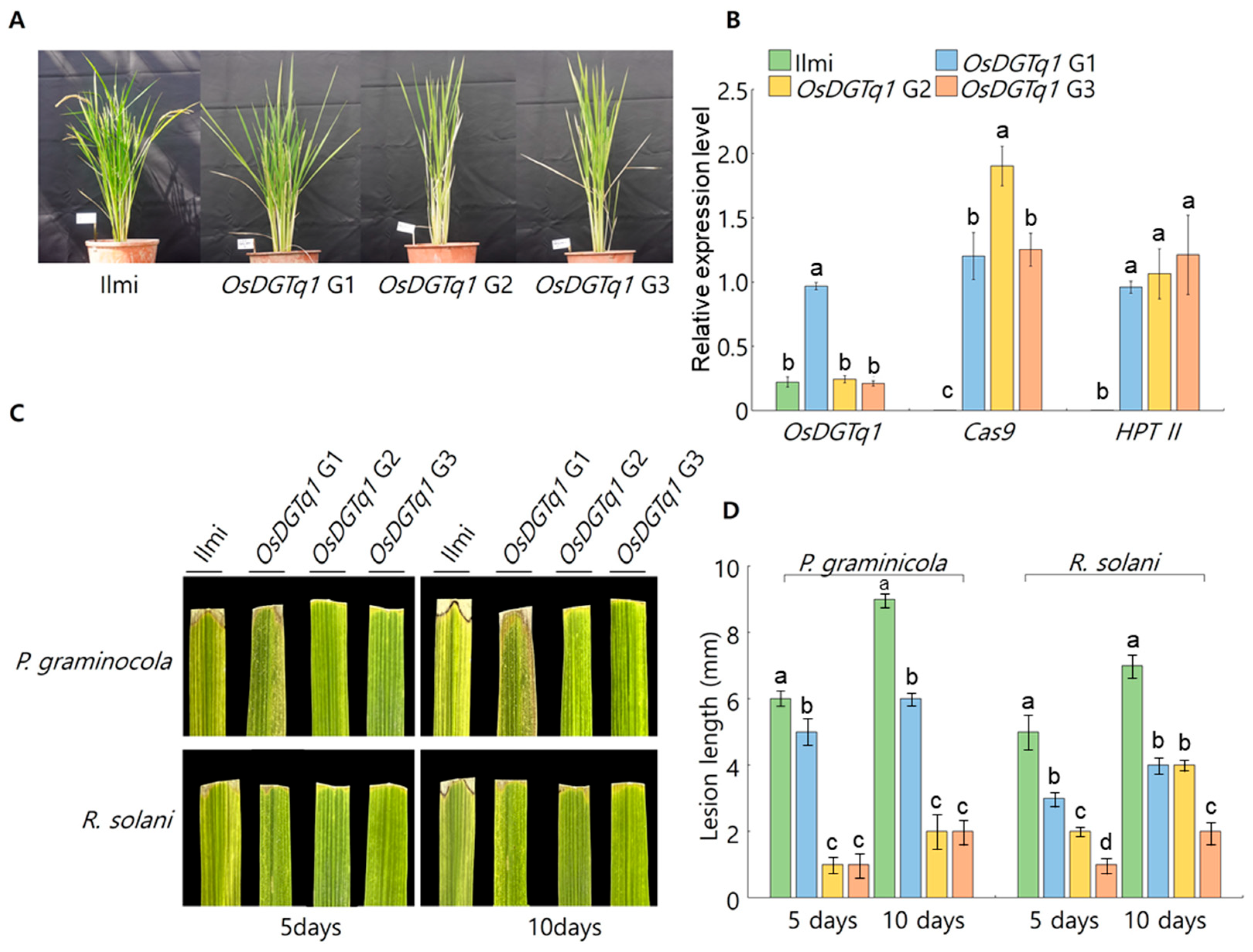 Ijms 26 09761 g004 Ijms 26 09761 g004