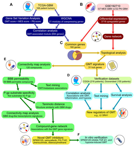 Ｍｍｍu Modo MODO 4226 Eyeglasses | FREE Shipping - Go-Optic.com