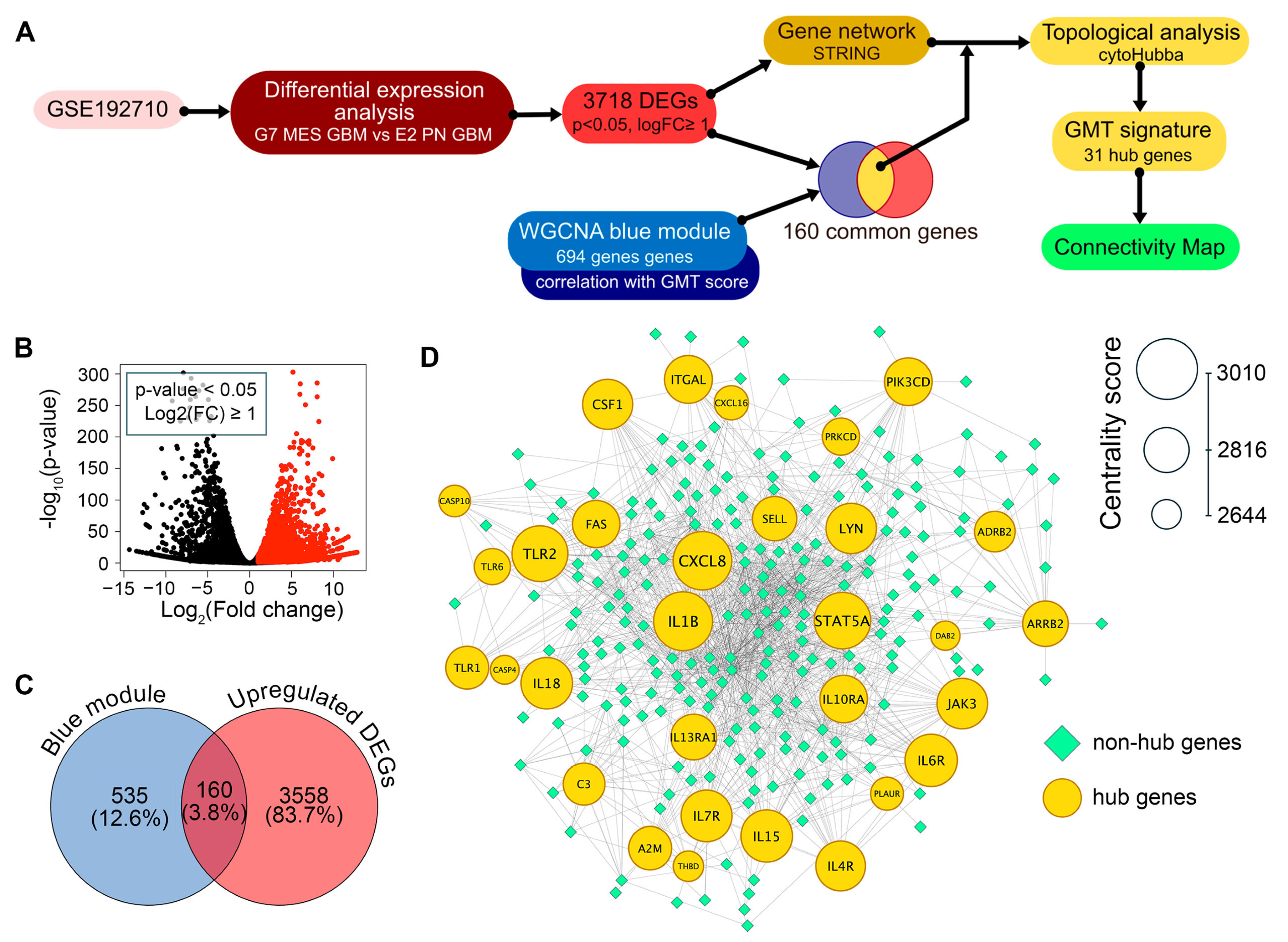 Ijms 26 09772 g003 Ijms 26 09772 g003