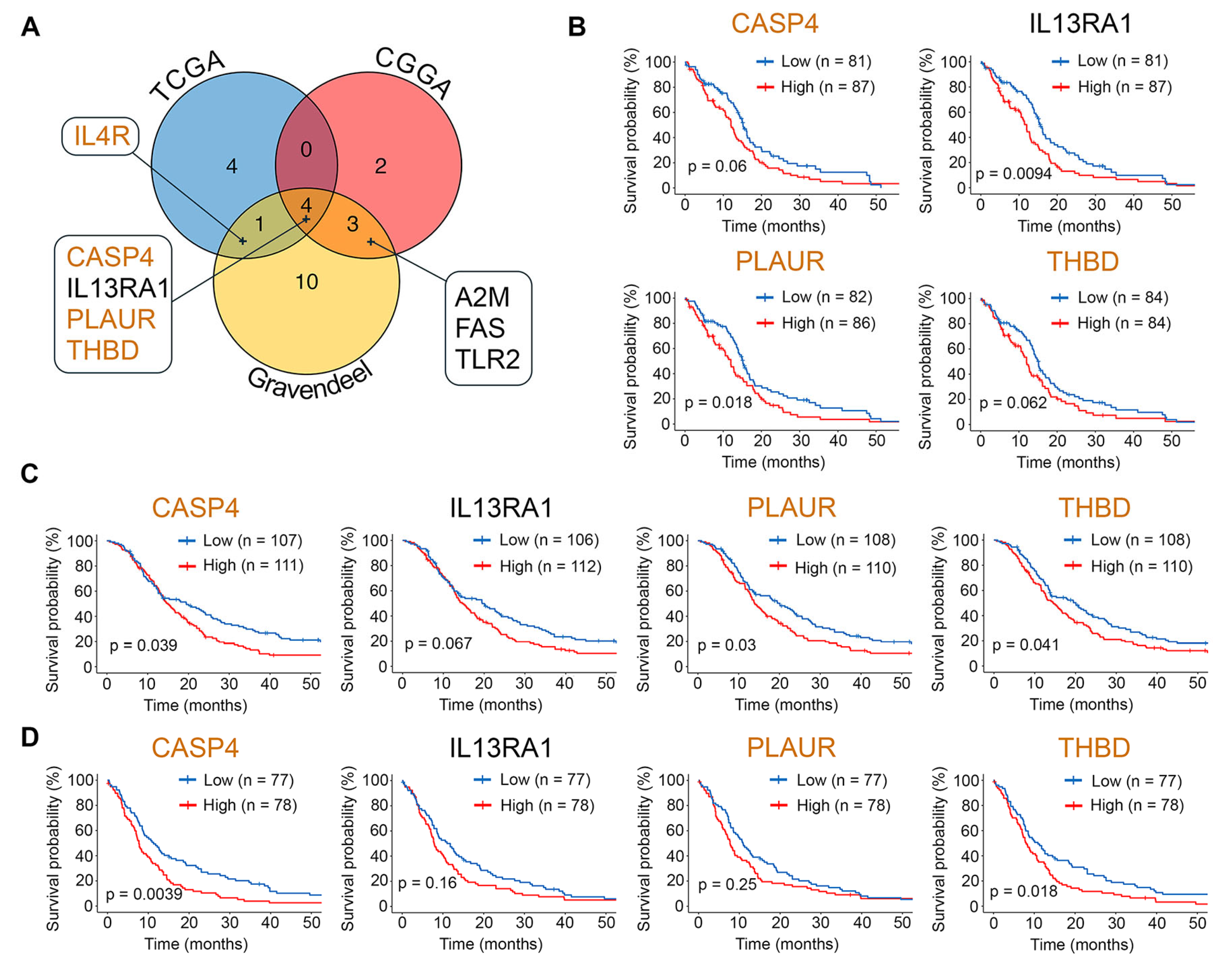 Ijms 26 09772 g006 Ijms 26 09772 g006