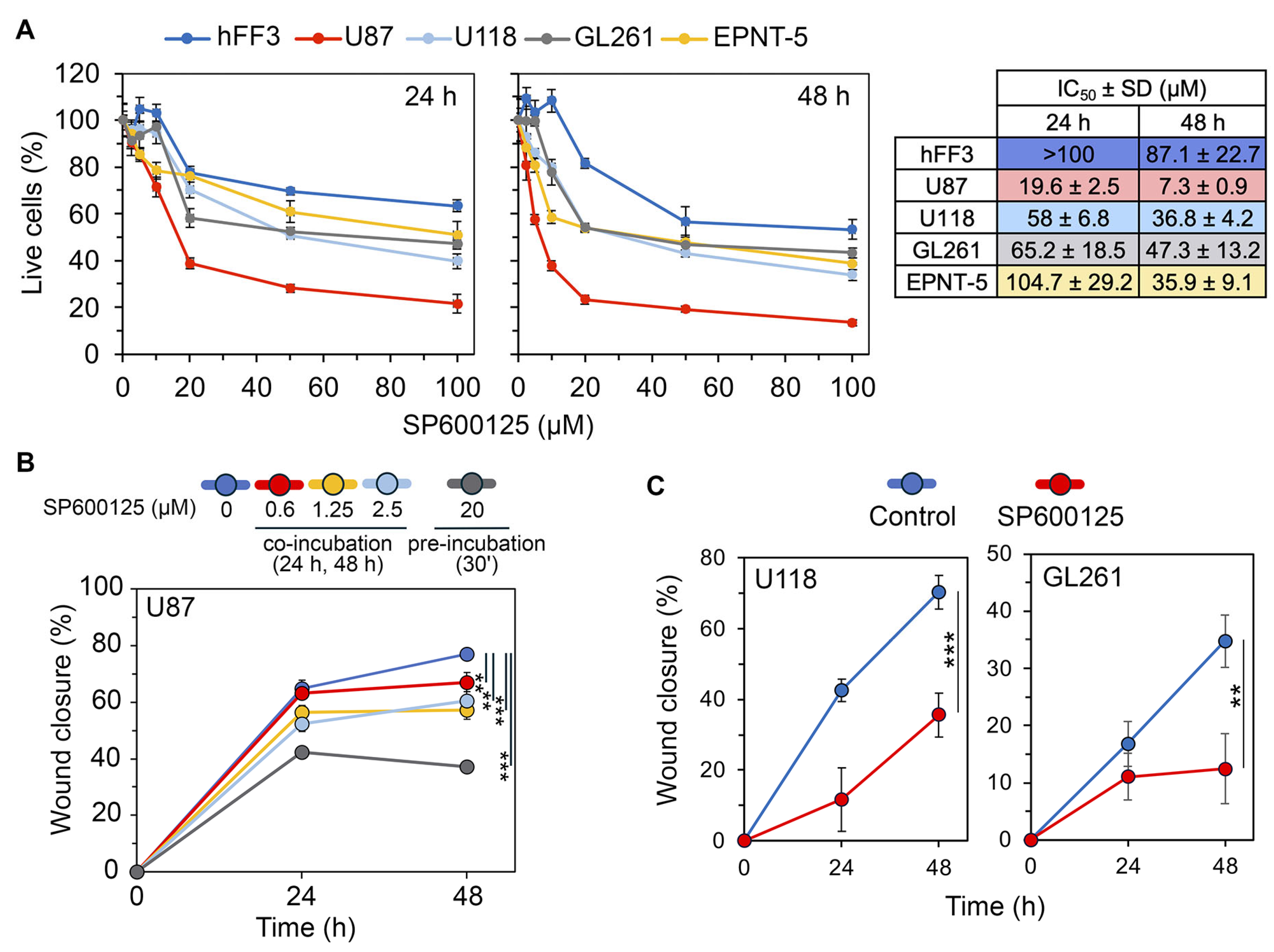 Ijms 26 09772 g010 Ijms 26 09772 g010