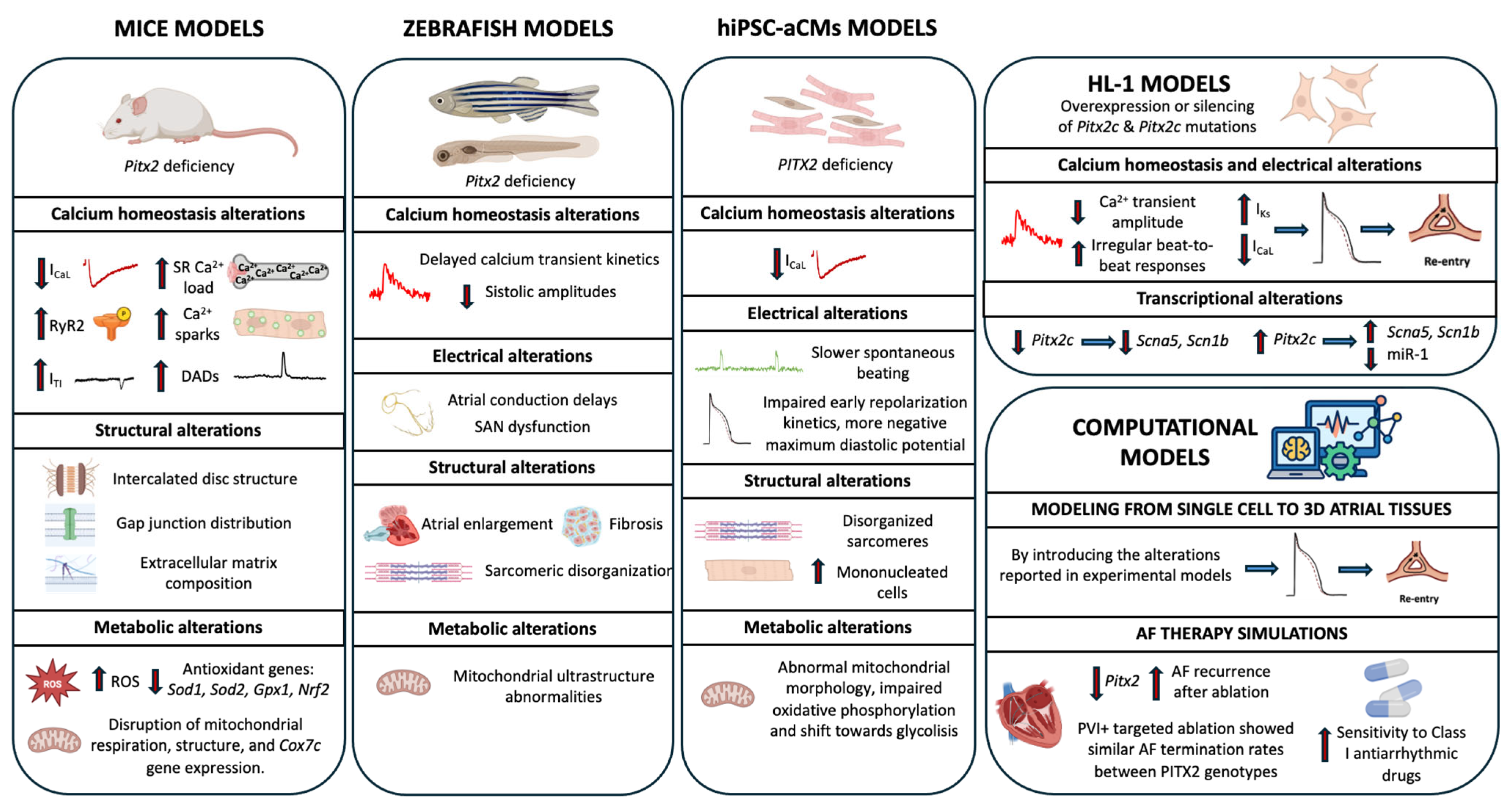 Ijms 26 09780 g002 Ijms 26 09780 g002