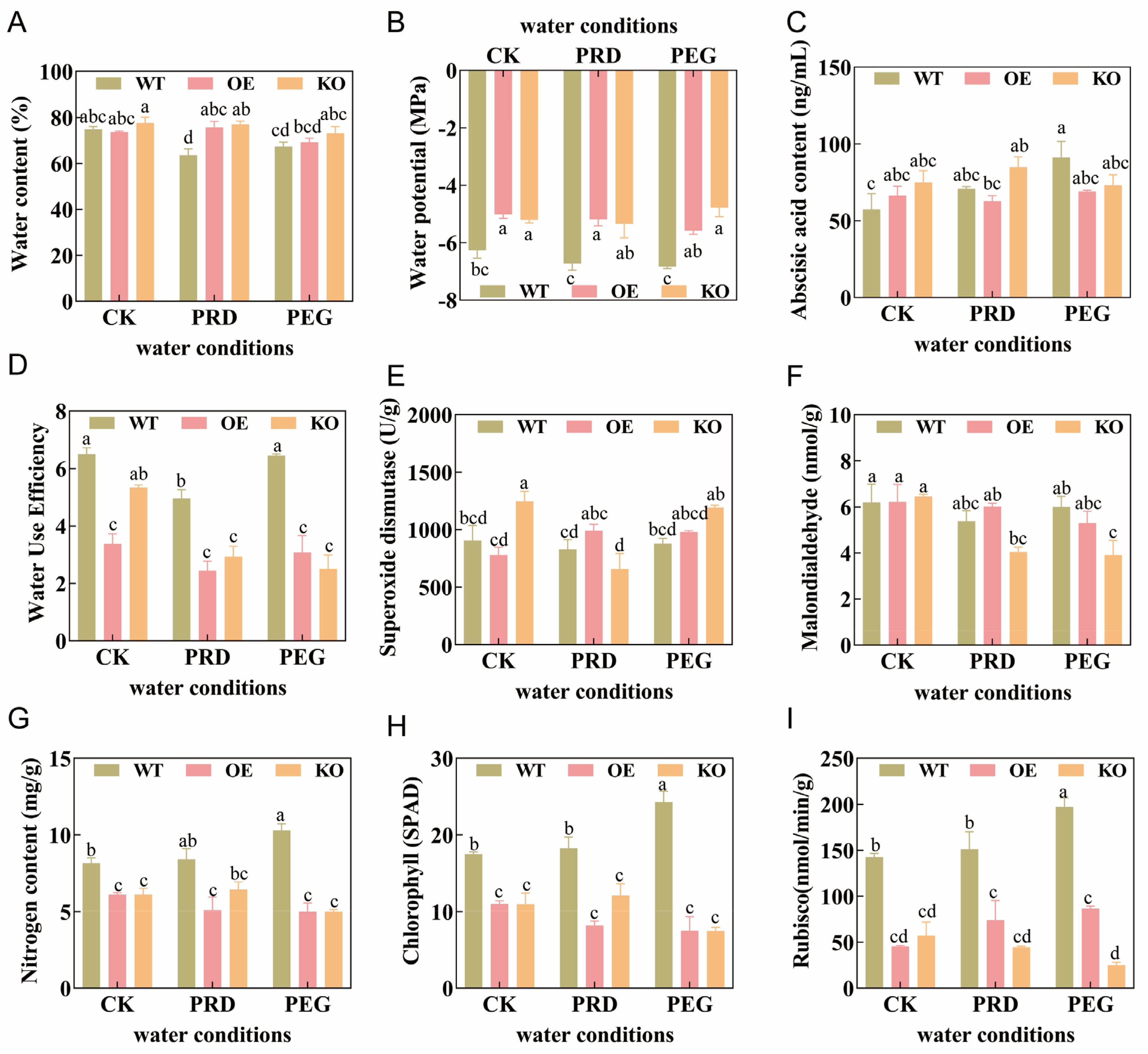 Ijms 26 09782 g002 Ijms 26 09782 g002