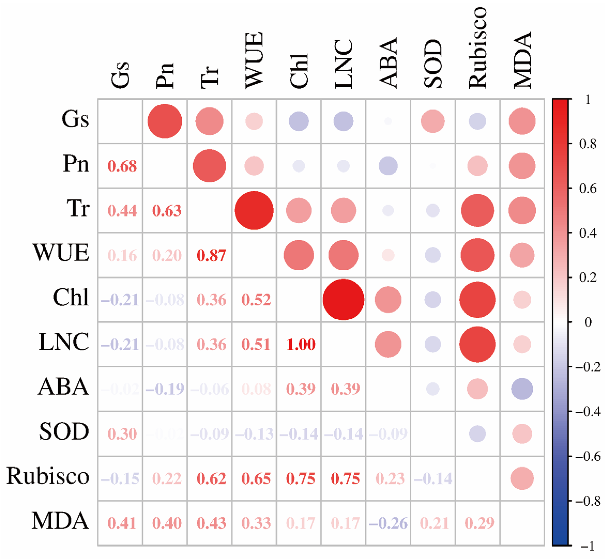 Ijms 26 09782 g004 Ijms 26 09782 g004