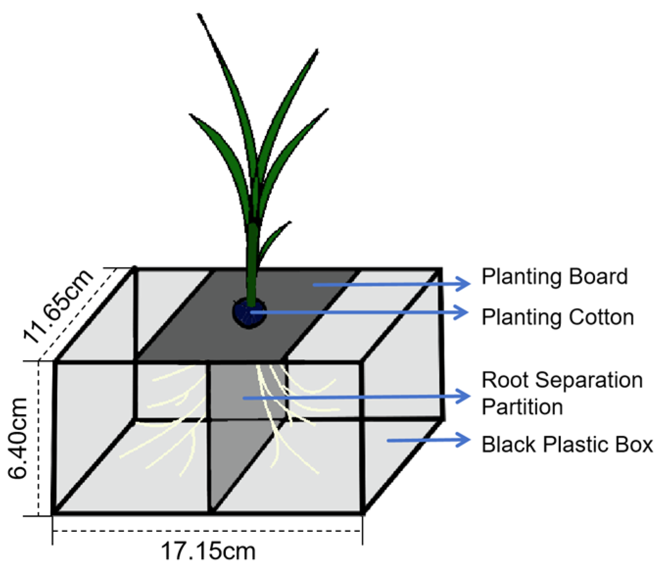 Ijms 26 09782 g005 Ijms 26 09782 g005