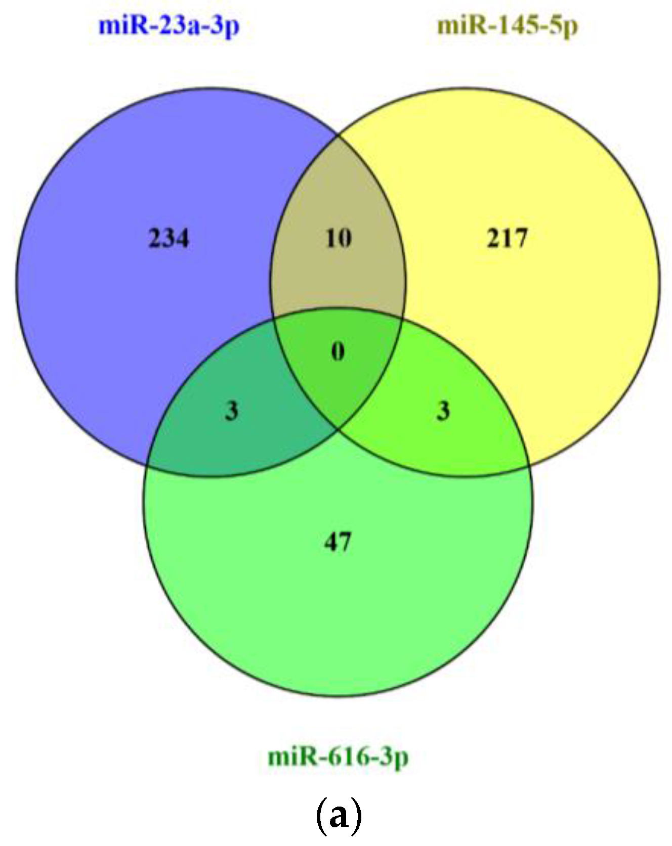 Ijms 26 09796 g006a Ijms 26 09796 g006a