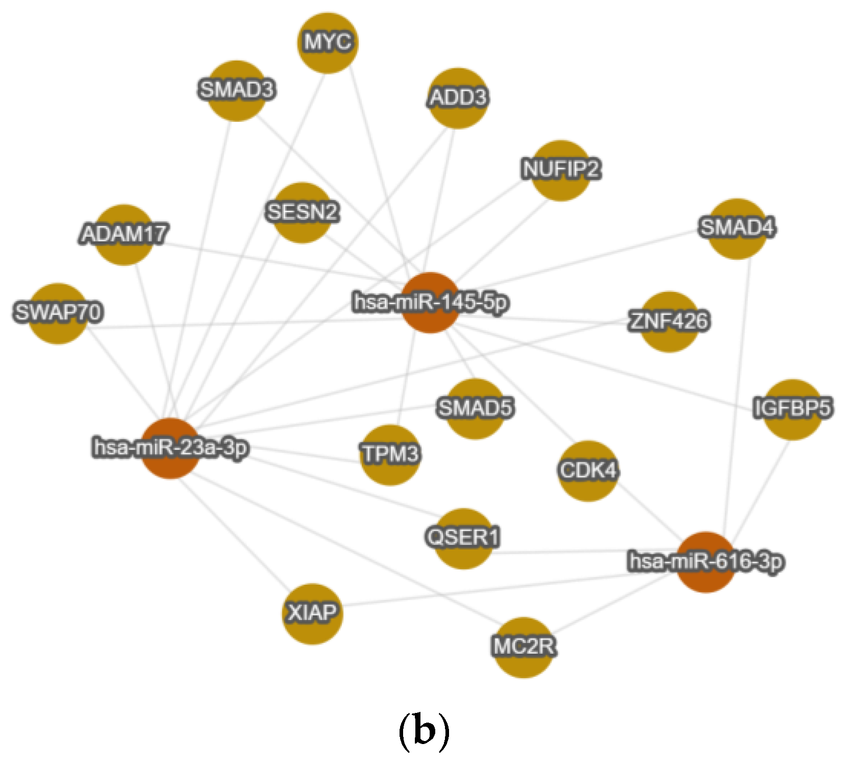 Ijms 26 09796 g006b Ijms 26 09796 g006b