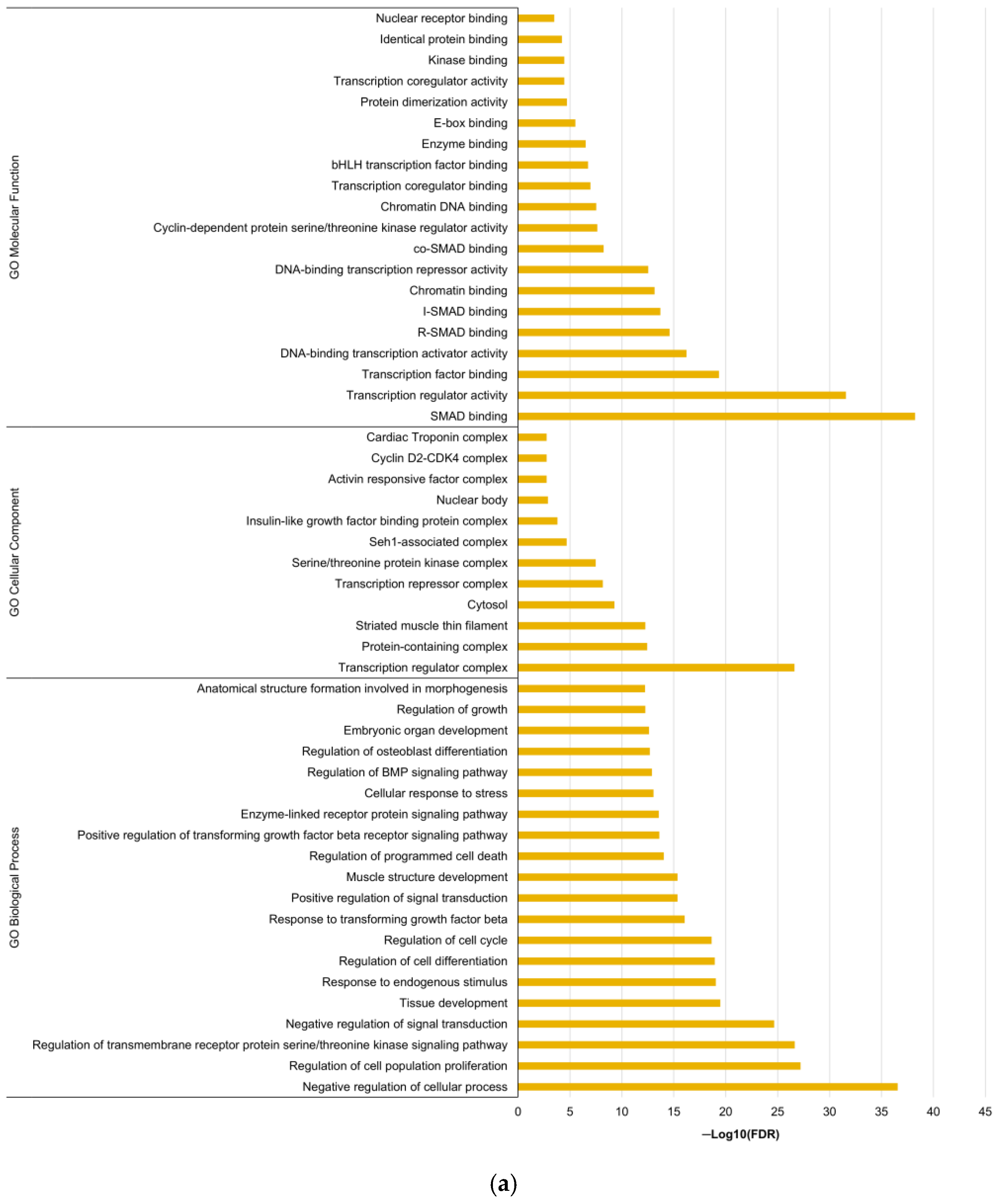 Ijms 26 09796 g007a Ijms 26 09796 g007a