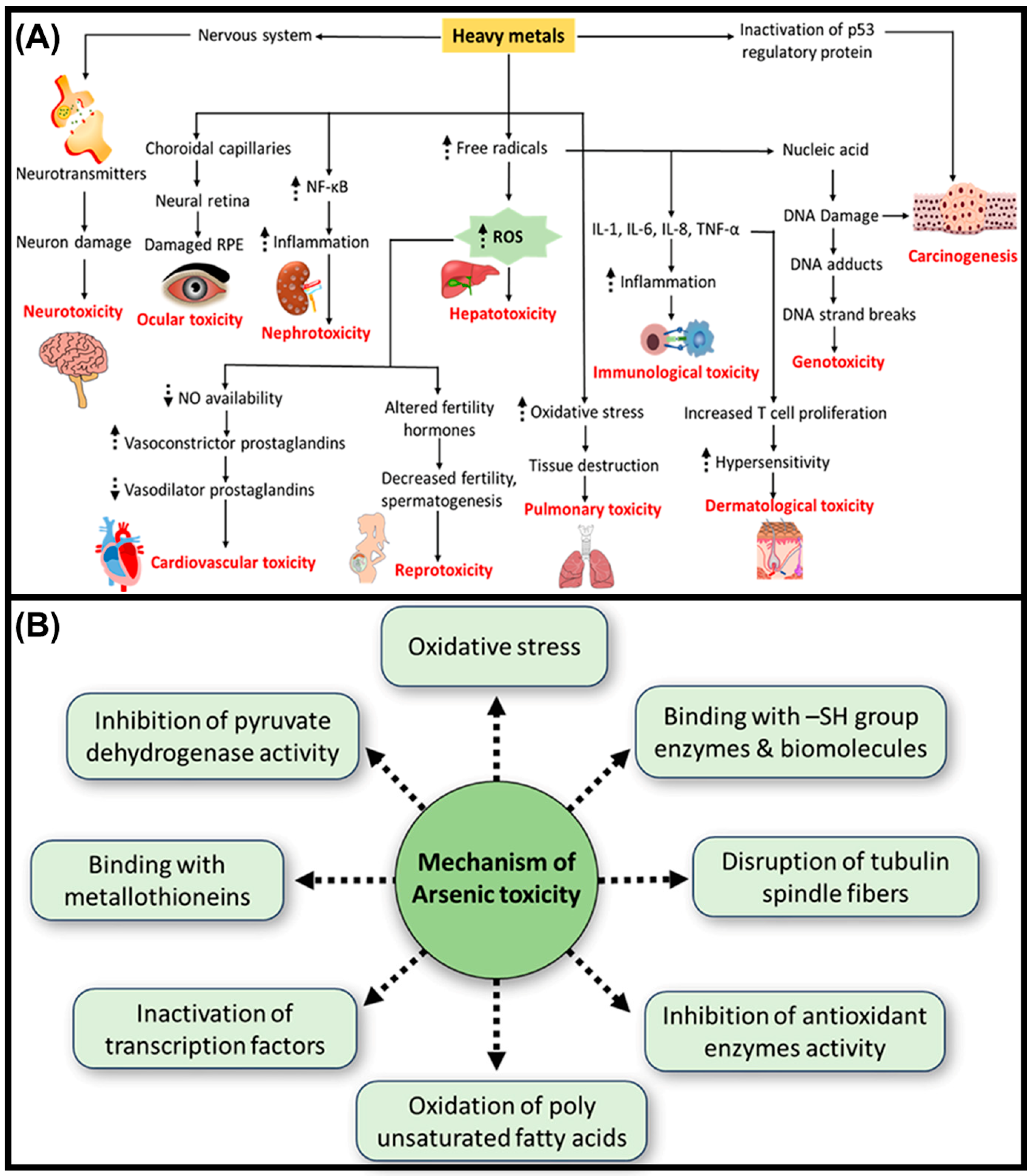 Ijms 26 09797 g002 Ijms 26 09797 g002