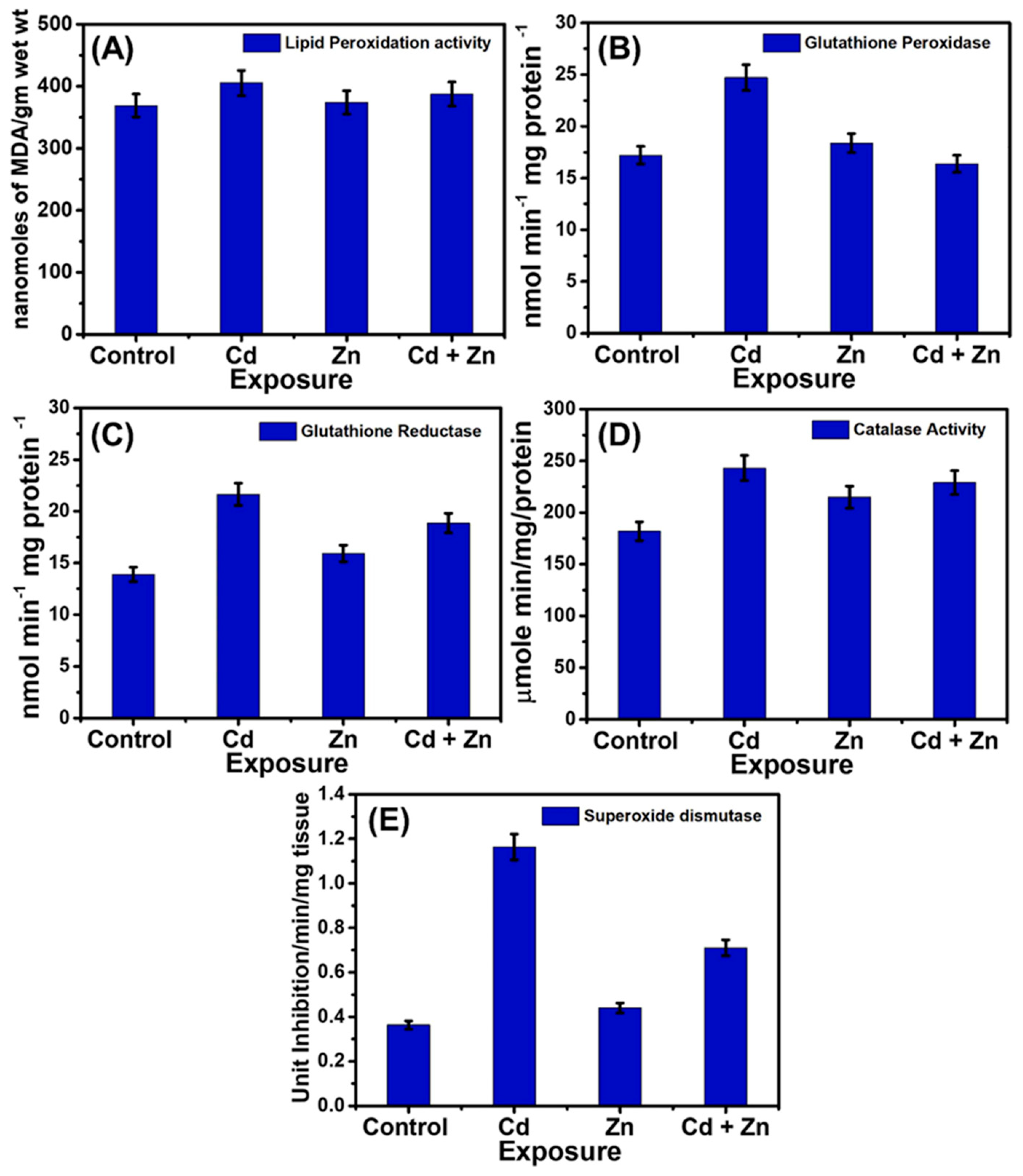 Ijms 26 09797 g006 Ijms 26 09797 g006