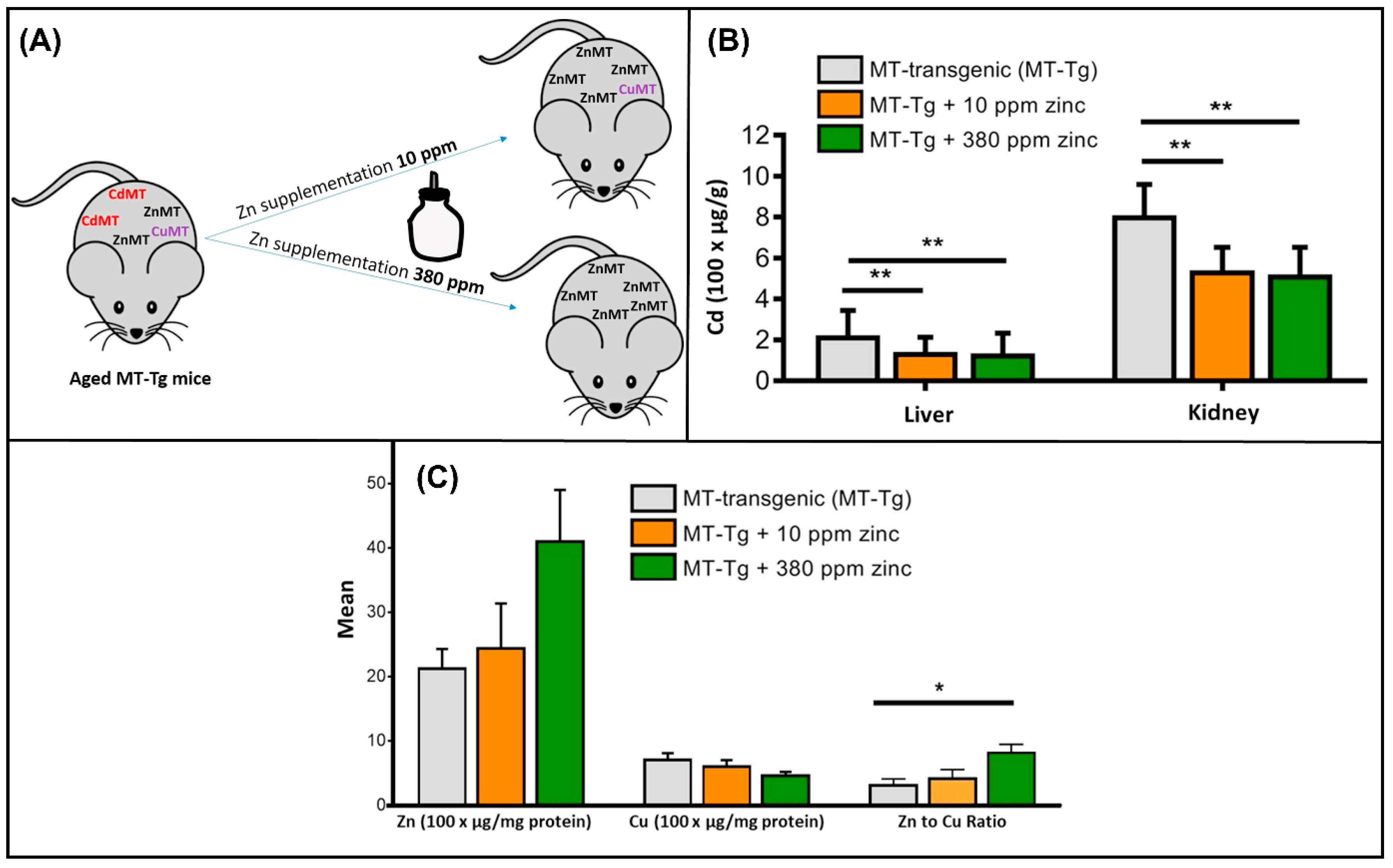Ijms 26 09797 g009 Ijms 26 09797 g009