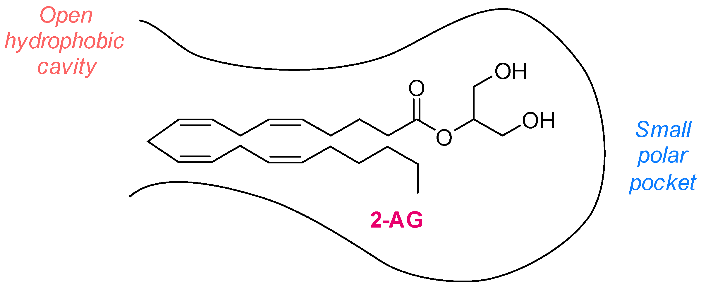 Ijms 26 09829 g001 Ijms 26 09829 g001