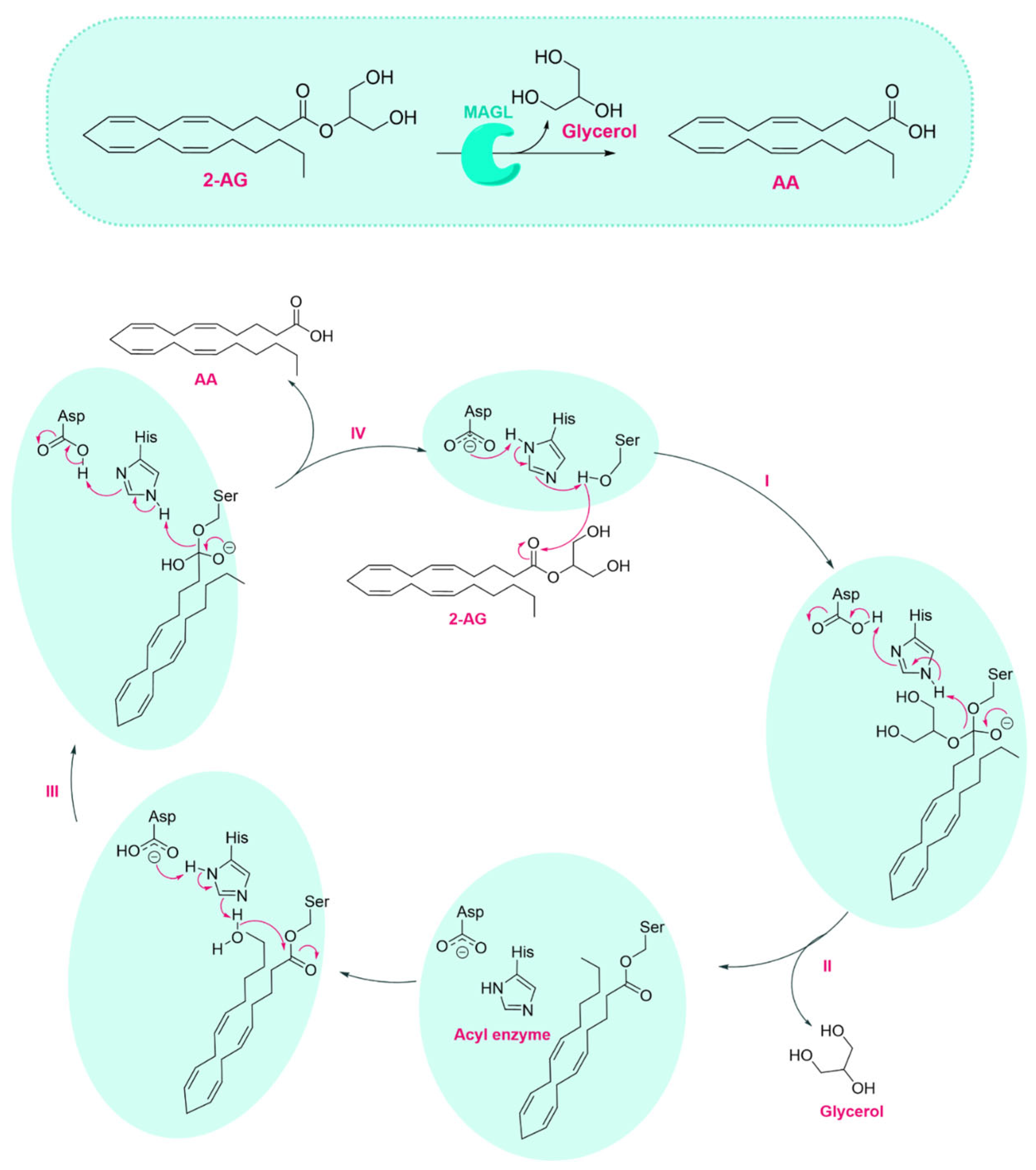 Ijms 26 09829 g002 Ijms 26 09829 g002