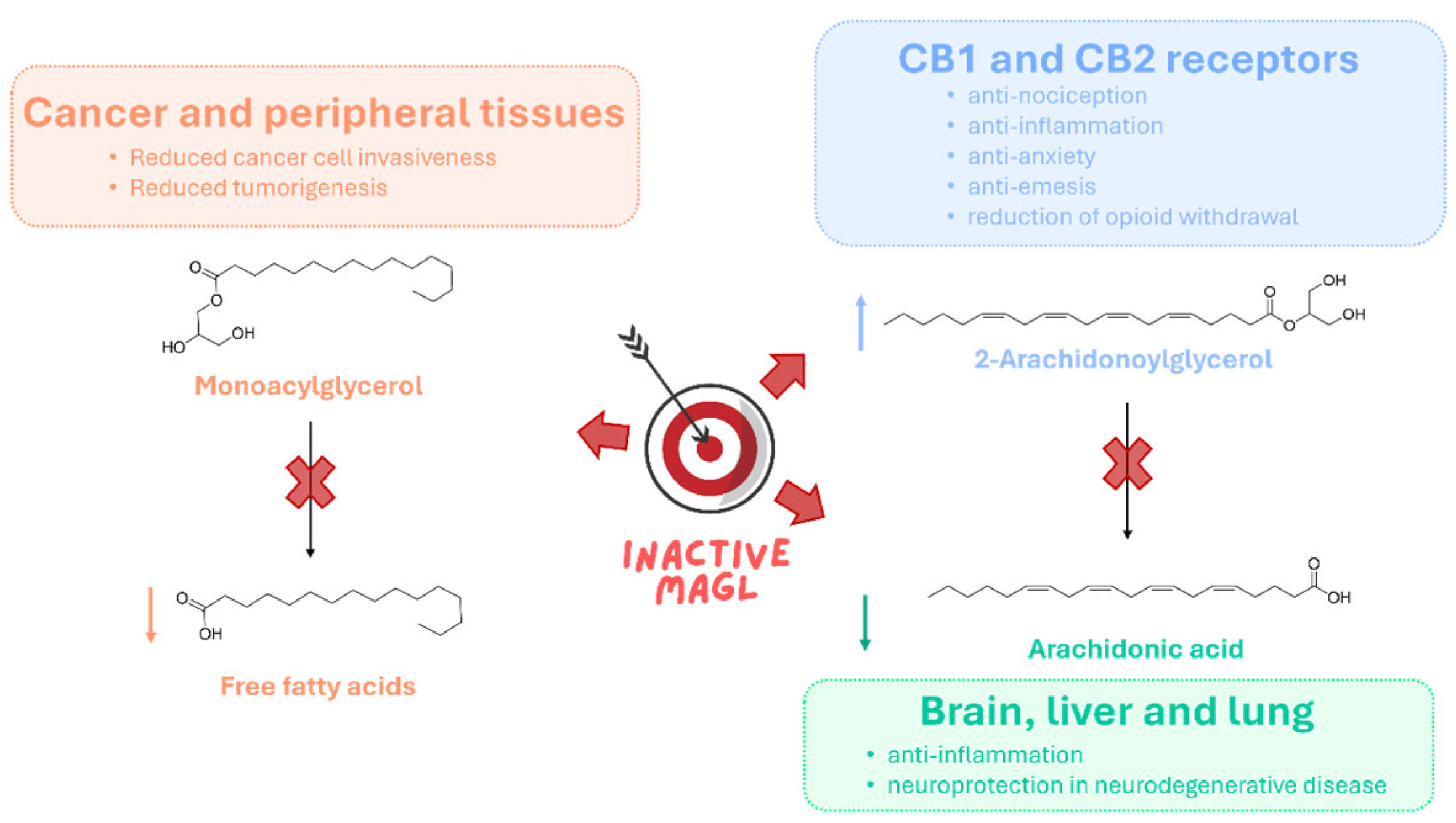 Ijms 26 09829 g003 Ijms 26 09829 g003