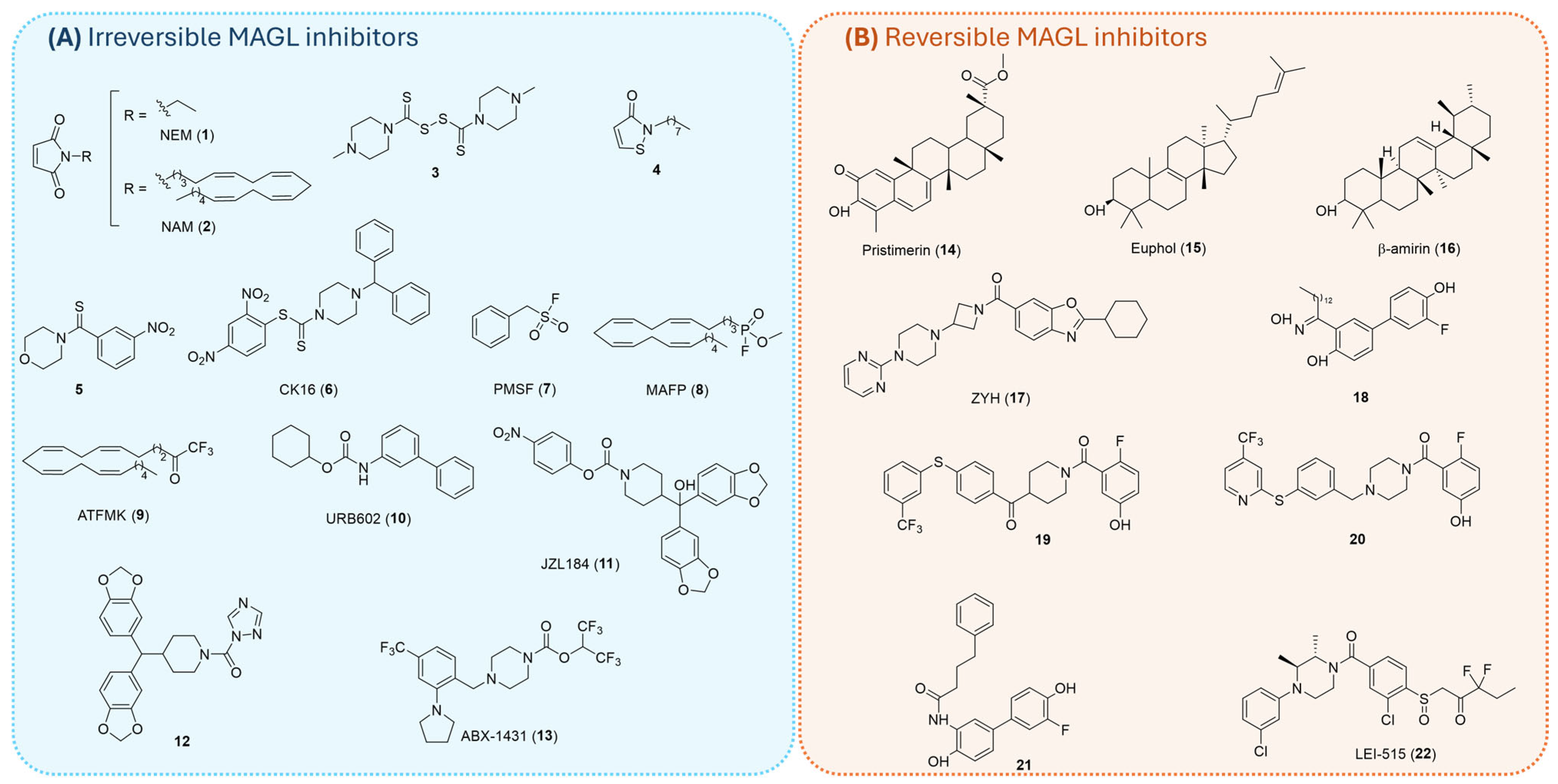 Ijms 26 09829 g004 Ijms 26 09829 g004